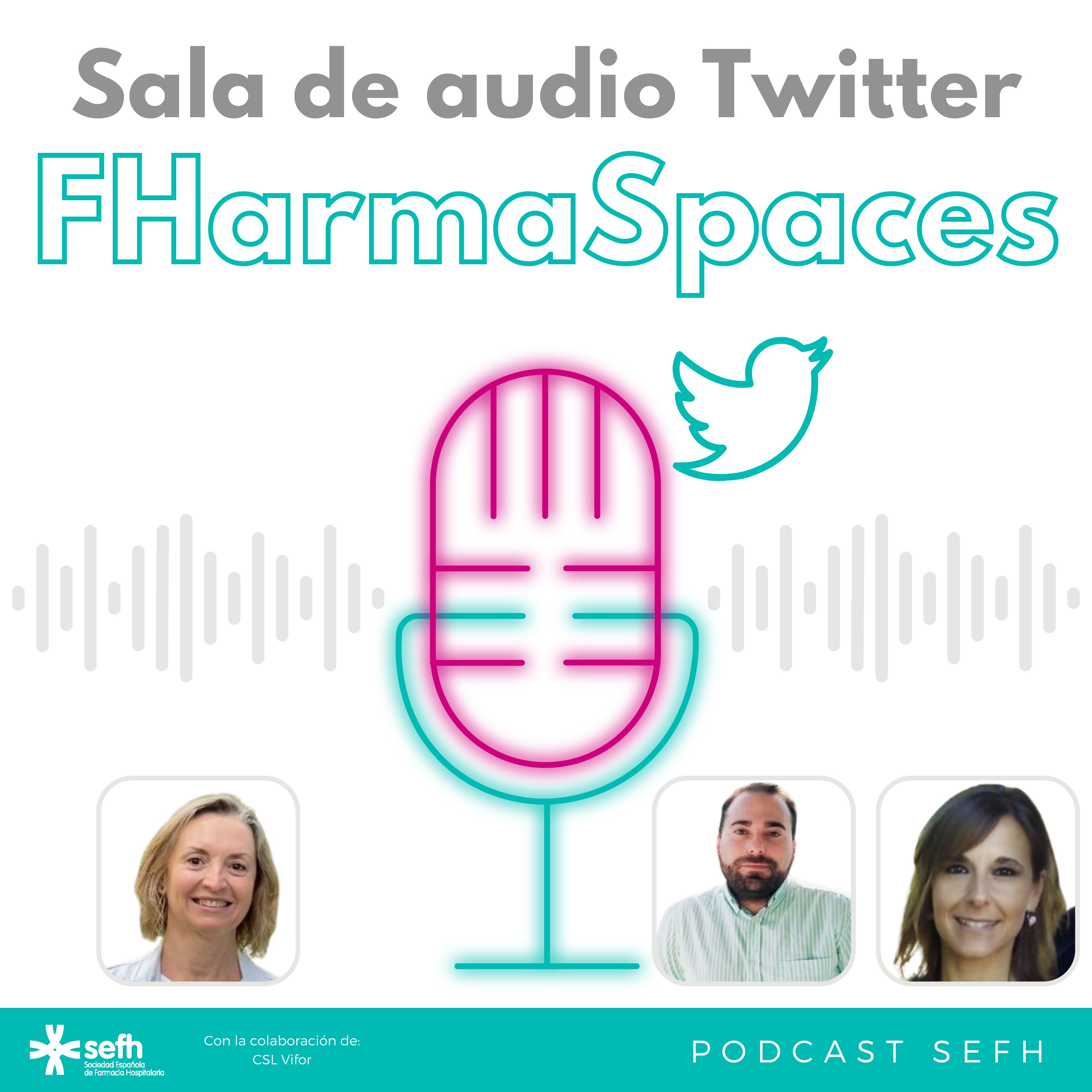 Sociedad Española de Farmacia Hospitalaria (SEFH)