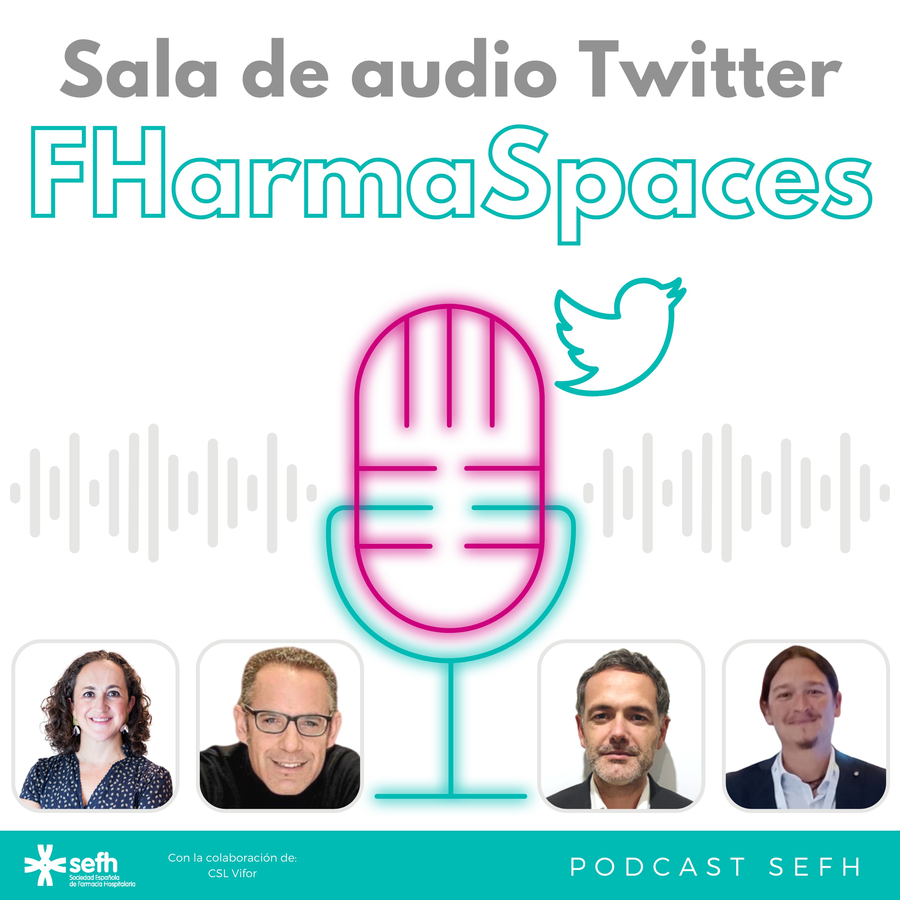 Sociedad Española de Farmacia Hospitalaria (SEFH)