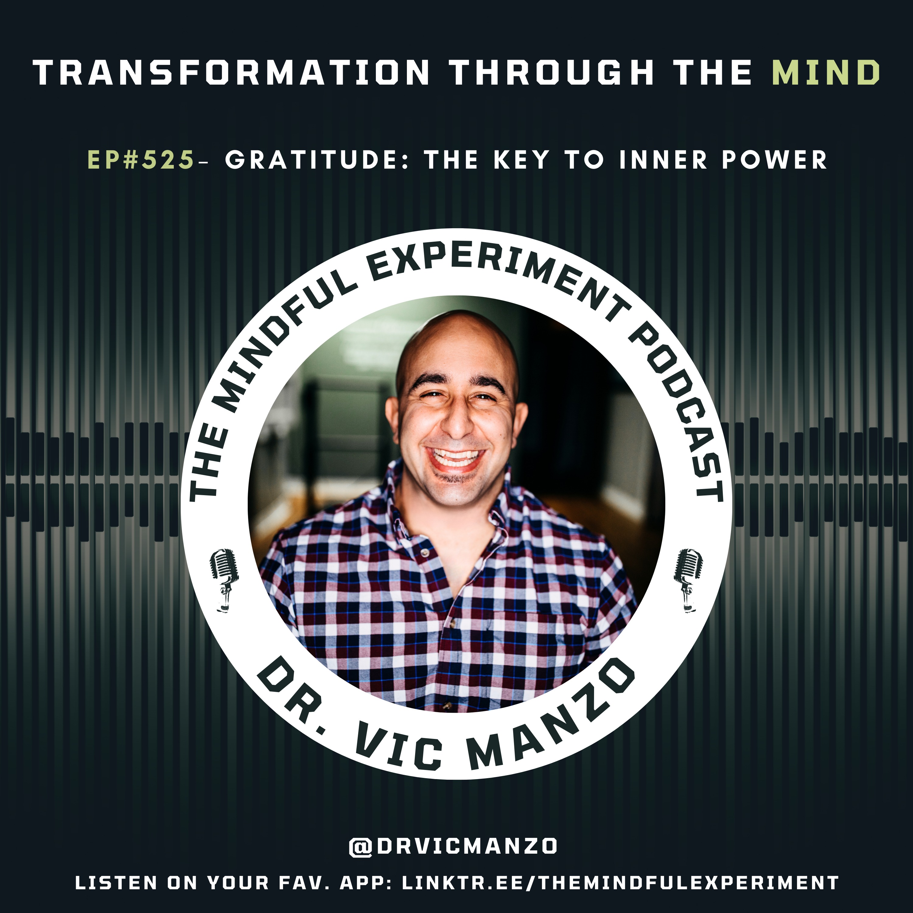 The Mindful Experiment Podcast