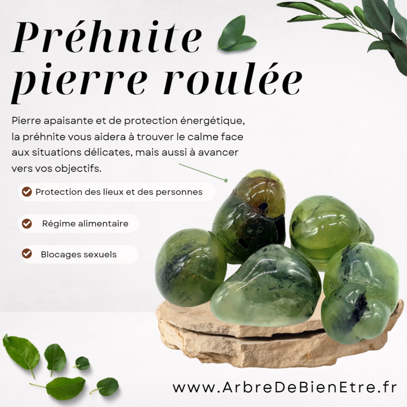 Lithothérapie, la préhnite les bienfaits et les vertus de cette pierre de lithothérapie