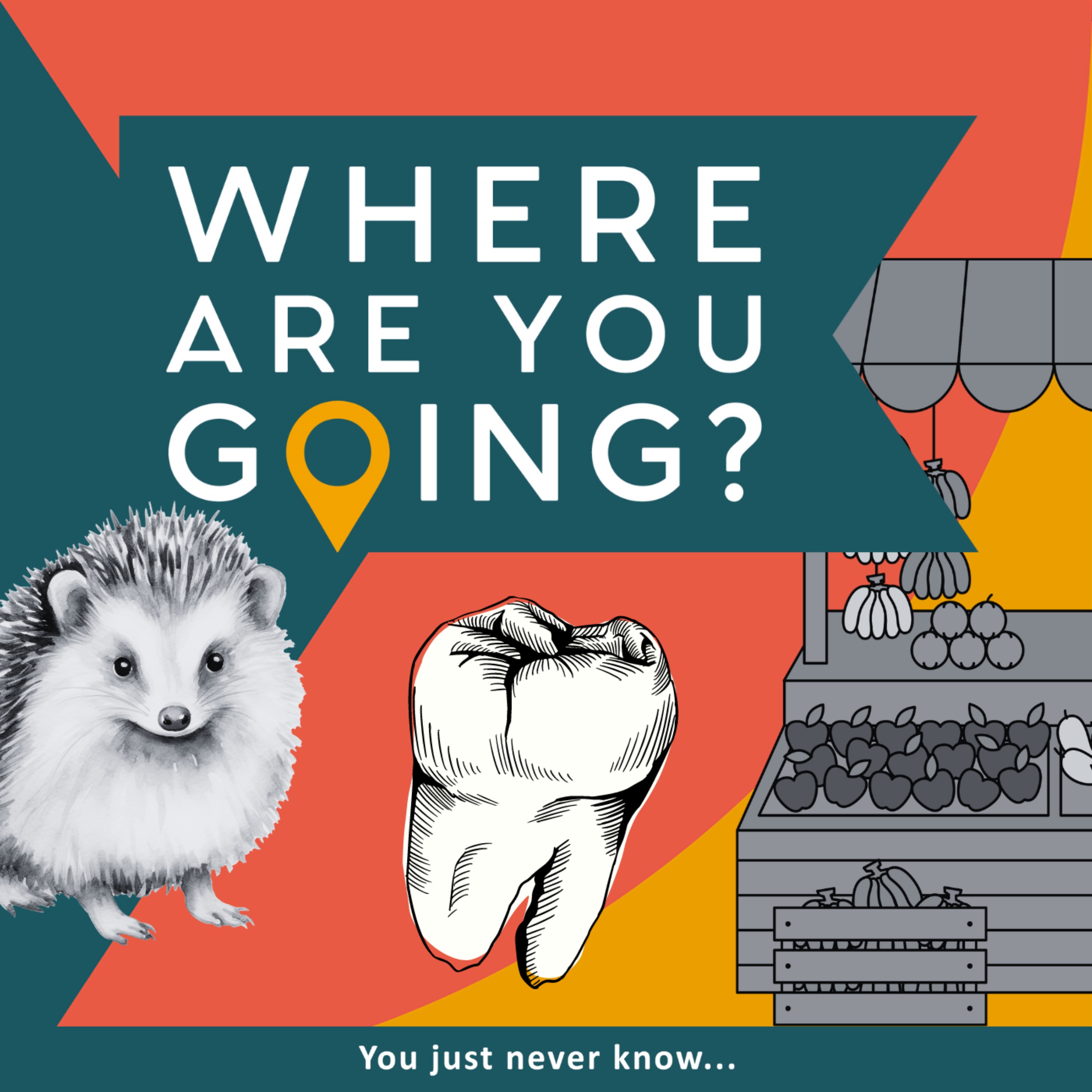 cover art for A Market, a Tooth and a Hedgehog