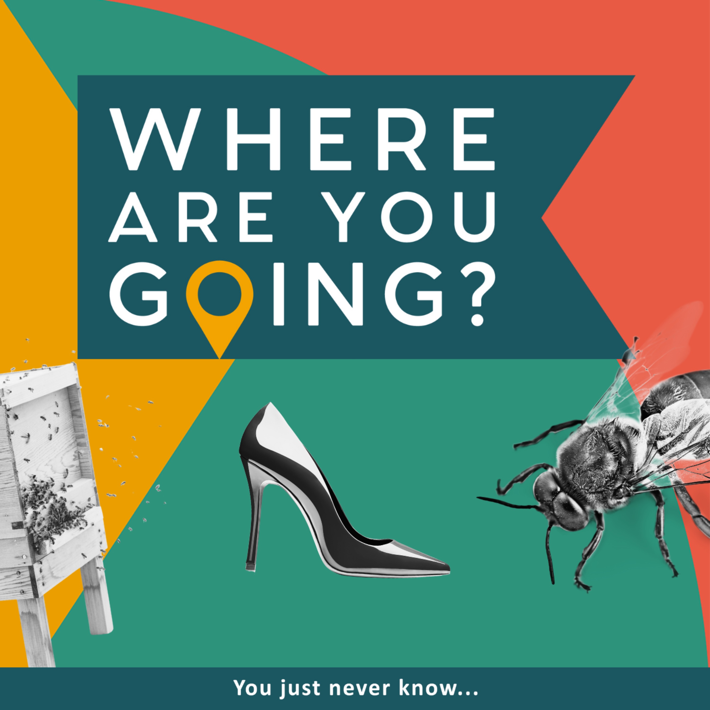 A bee, a career change and a fabulous outfit