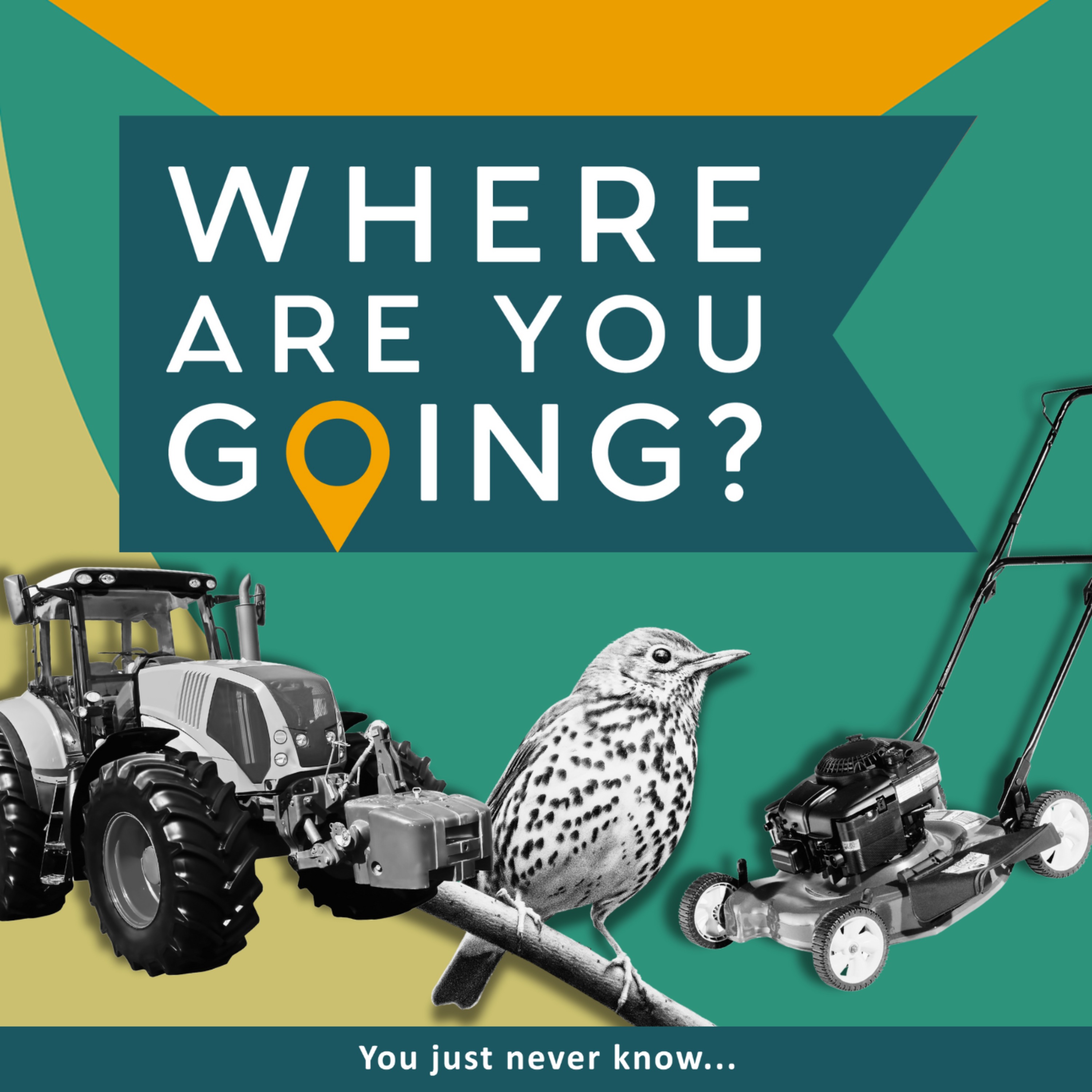 A tractor a lawn mower and a song thrush