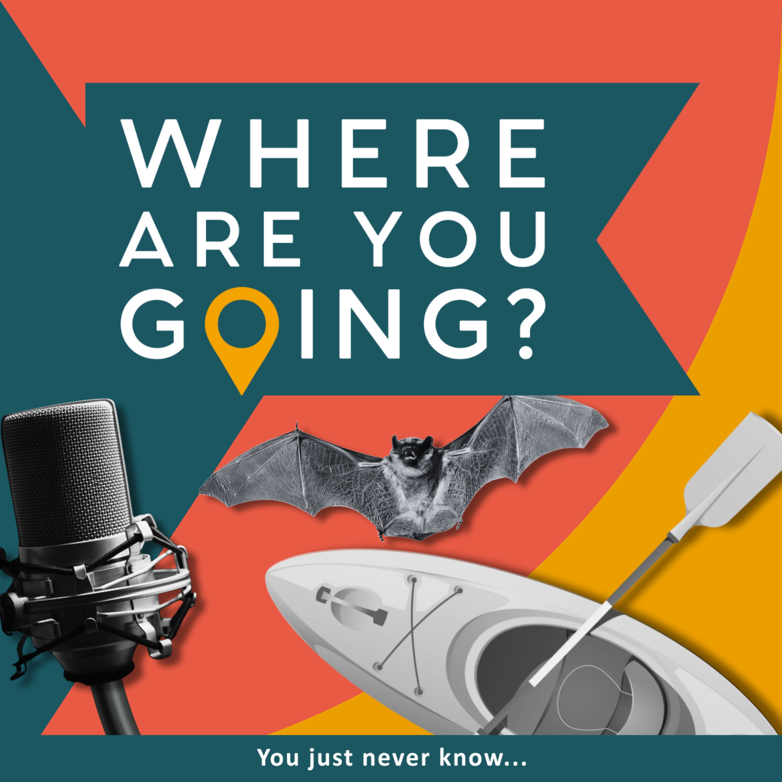 A canoe, a mic and a bat