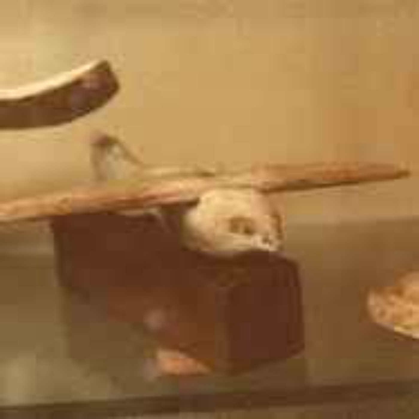 Sakkarafågeln - Modell av ett flygande skepp eller religiös symbol