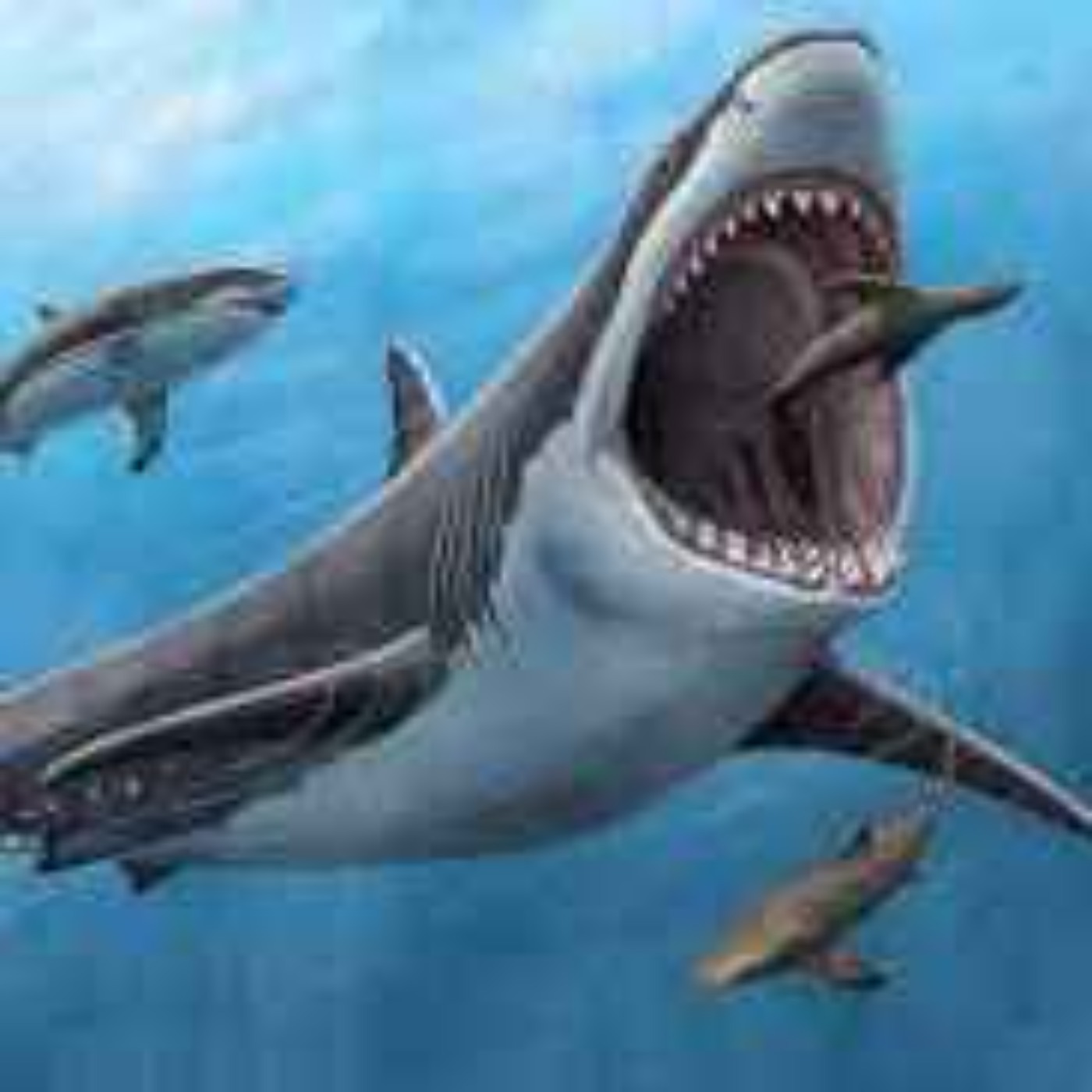 Megalodon - Jättehajen som spekuleras fortsatt leva