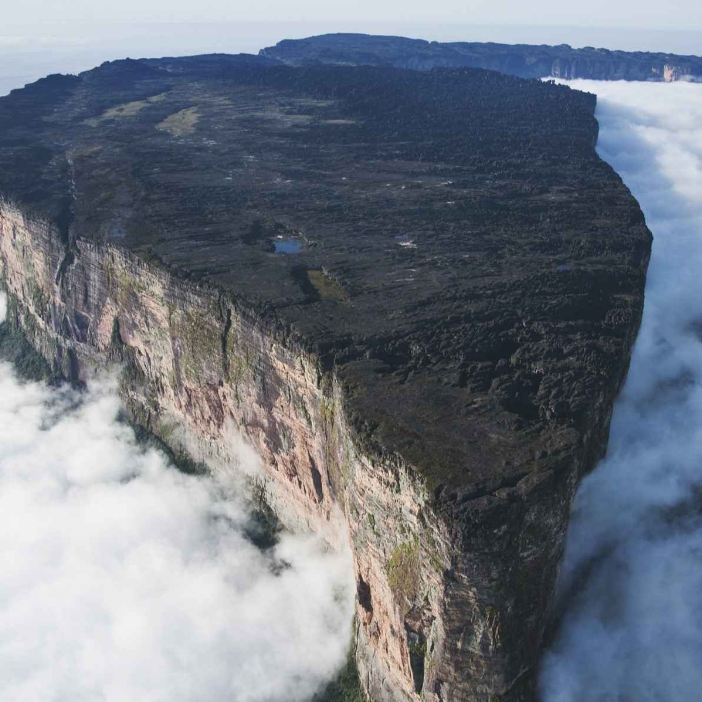 Mount Roraima -  Stubbe från livets träd? episode artwork