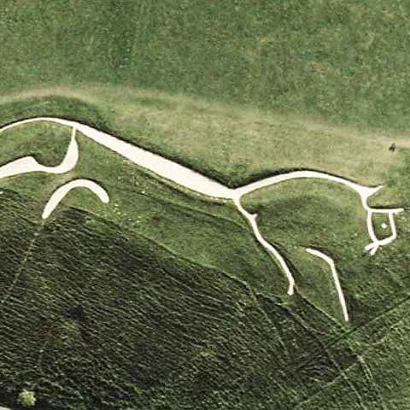 Uffington White Horse -  Vem skapade den? episode artwork