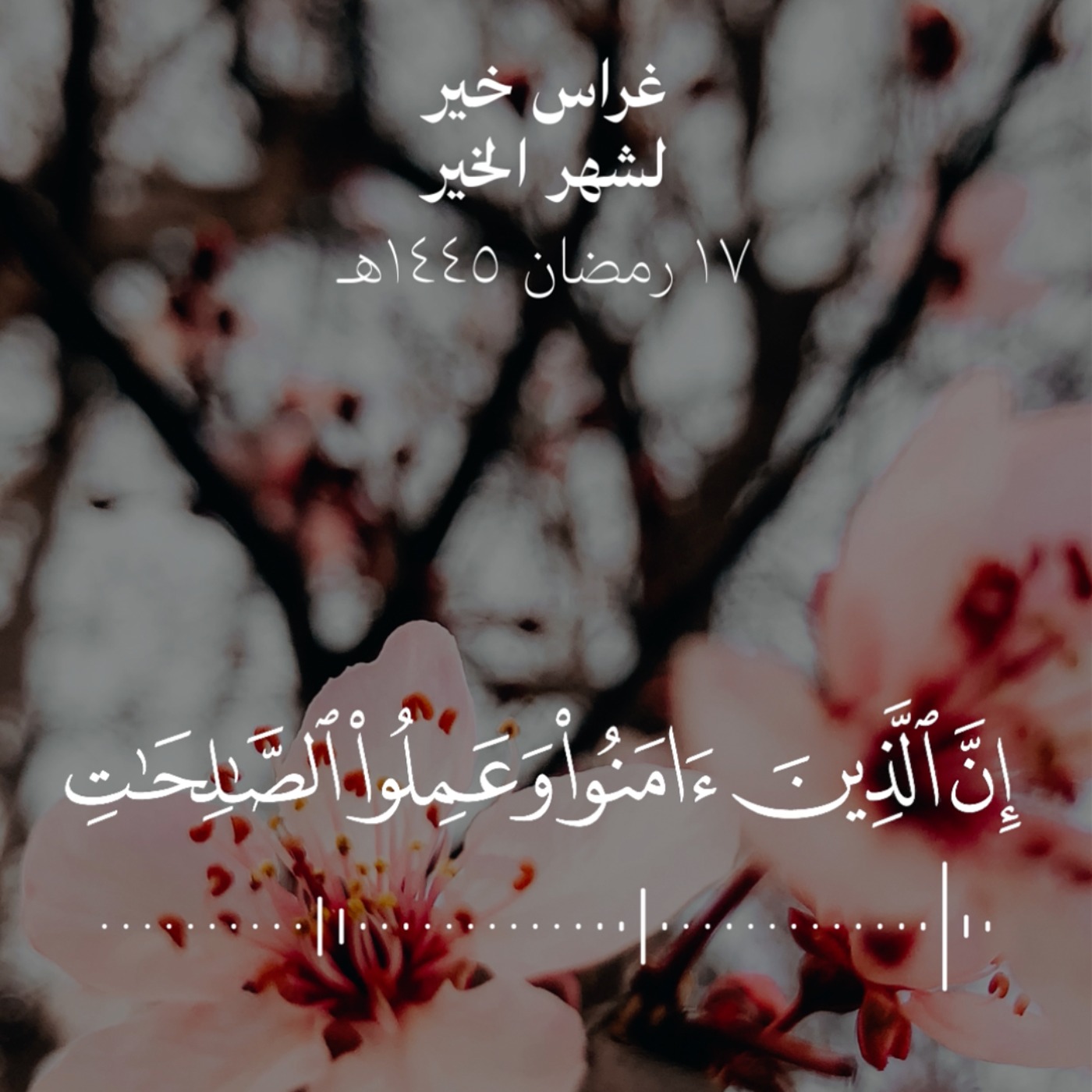 إنّ الذين آمنوا وعملوا الصالحات سيجعل لهم الرحمن ودا