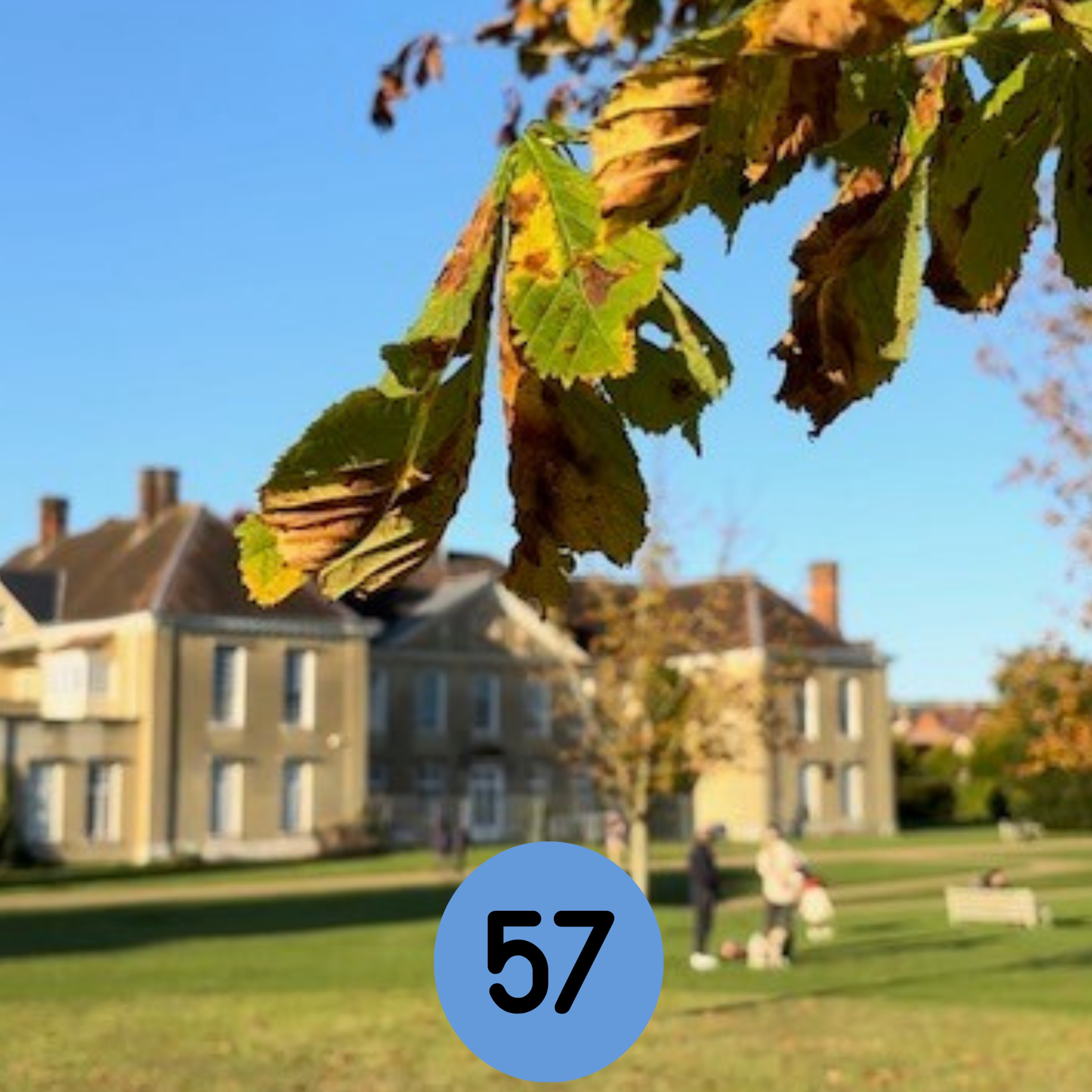 57: Your Harlequin 'drop-in' feedback, Betchworth’s Apple Day… and more episode artwork