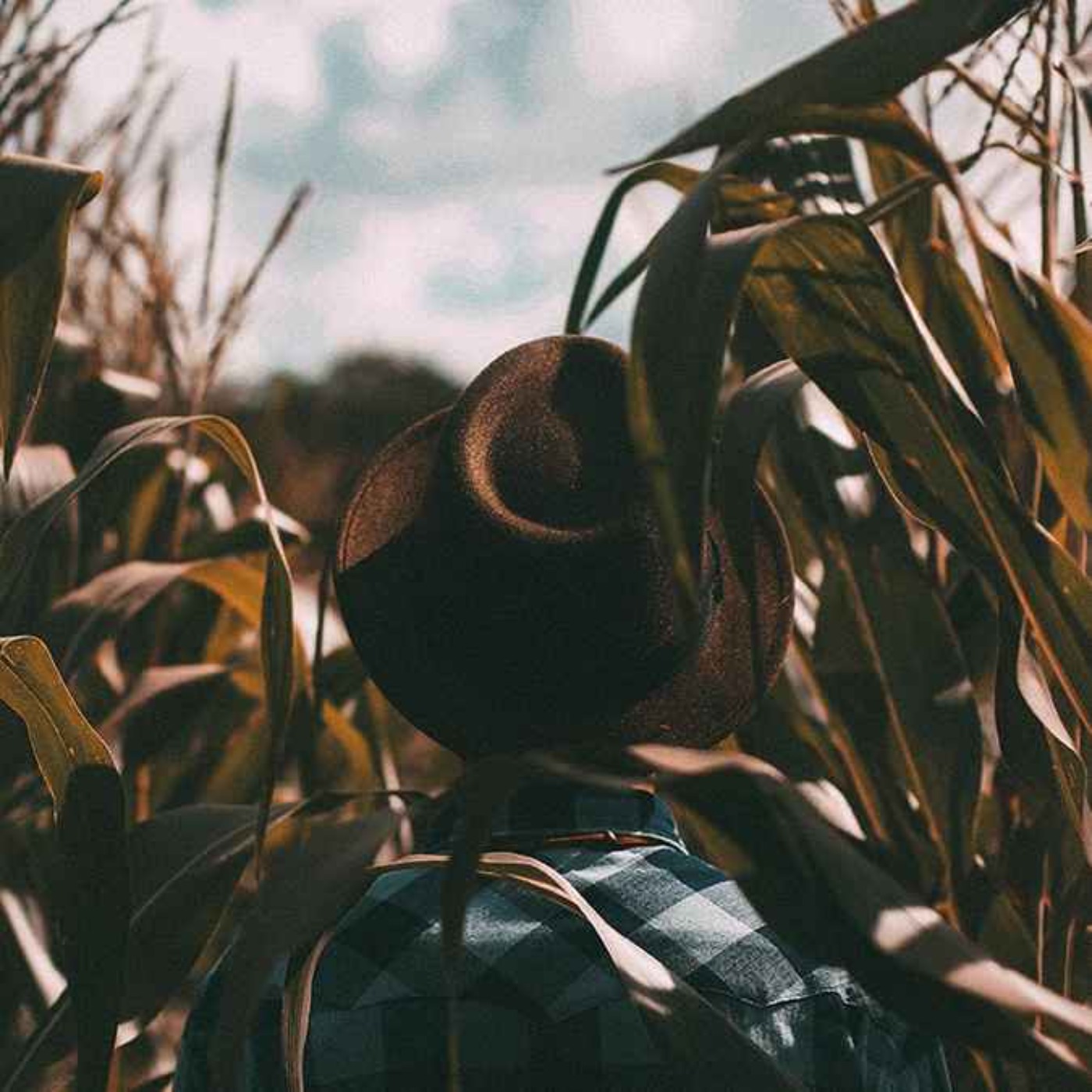 AUSTRALIE - Guide Backpackers