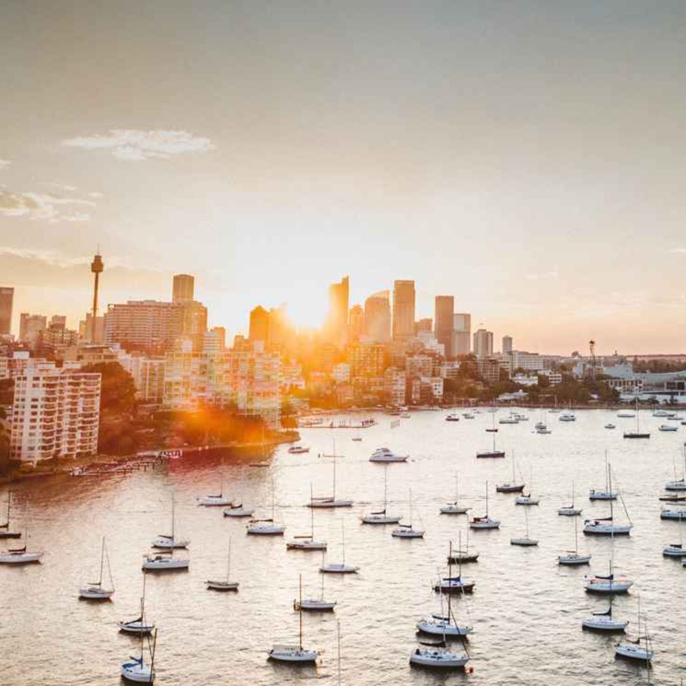 AUSTRALIE - Guide Backpackers