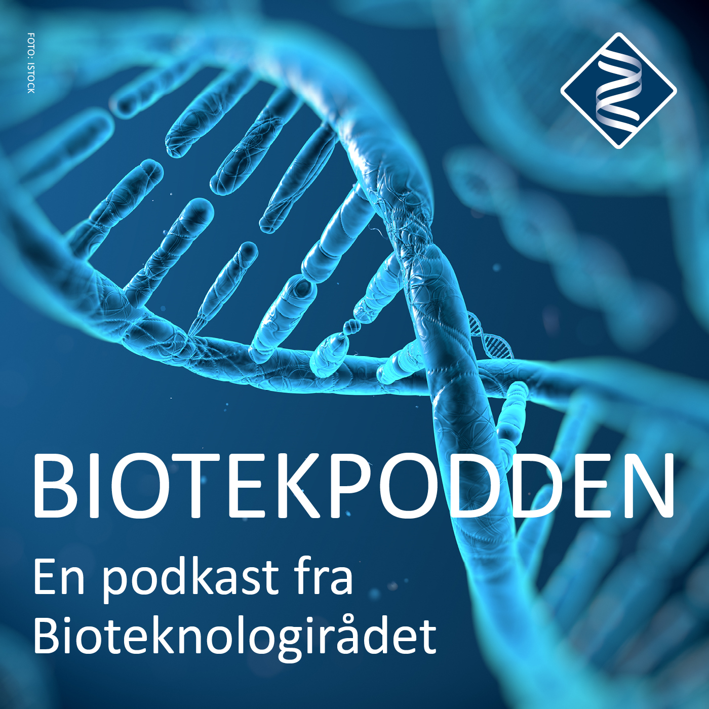 cover art for Fosterdiagnostikk og abort - Bioteknologidagen 2024