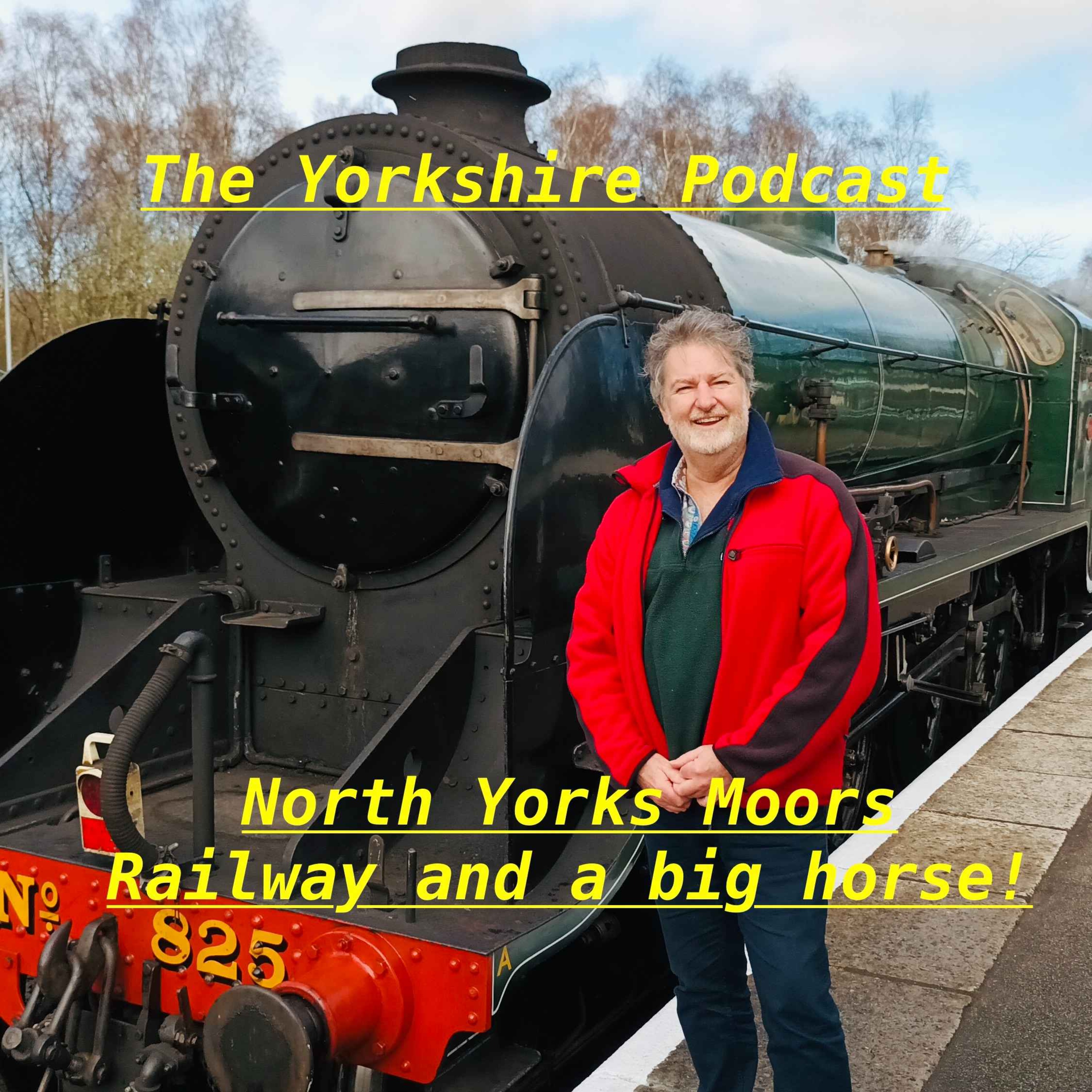 cover art for North York Moors Railway  and the greatest view in Yorkshire maybe?