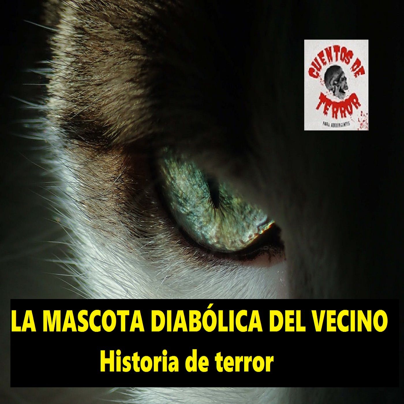 Cuentos de Terror para Adolescentes