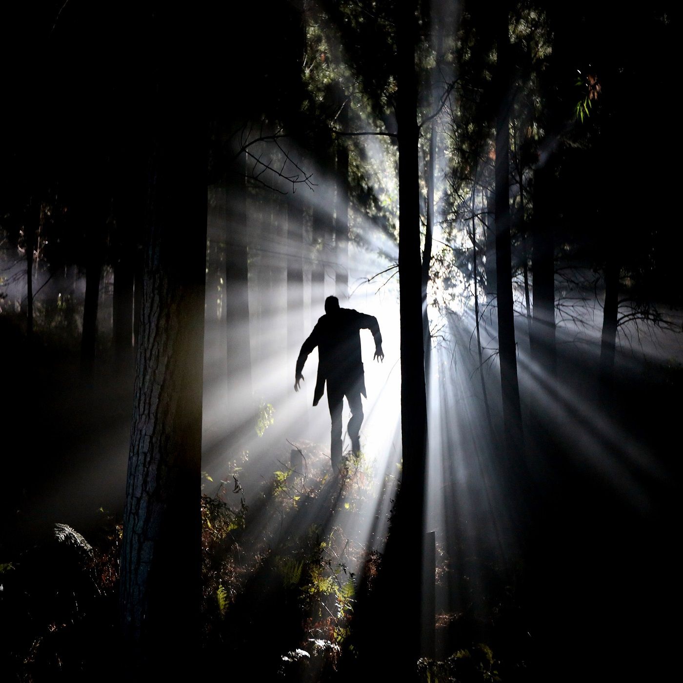 Cuentos de Terror para Adolescentes