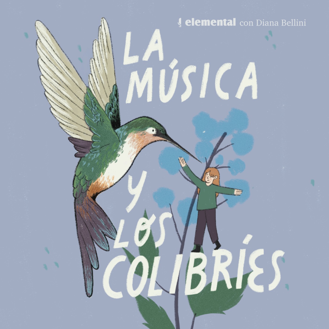 La música y los colibríes