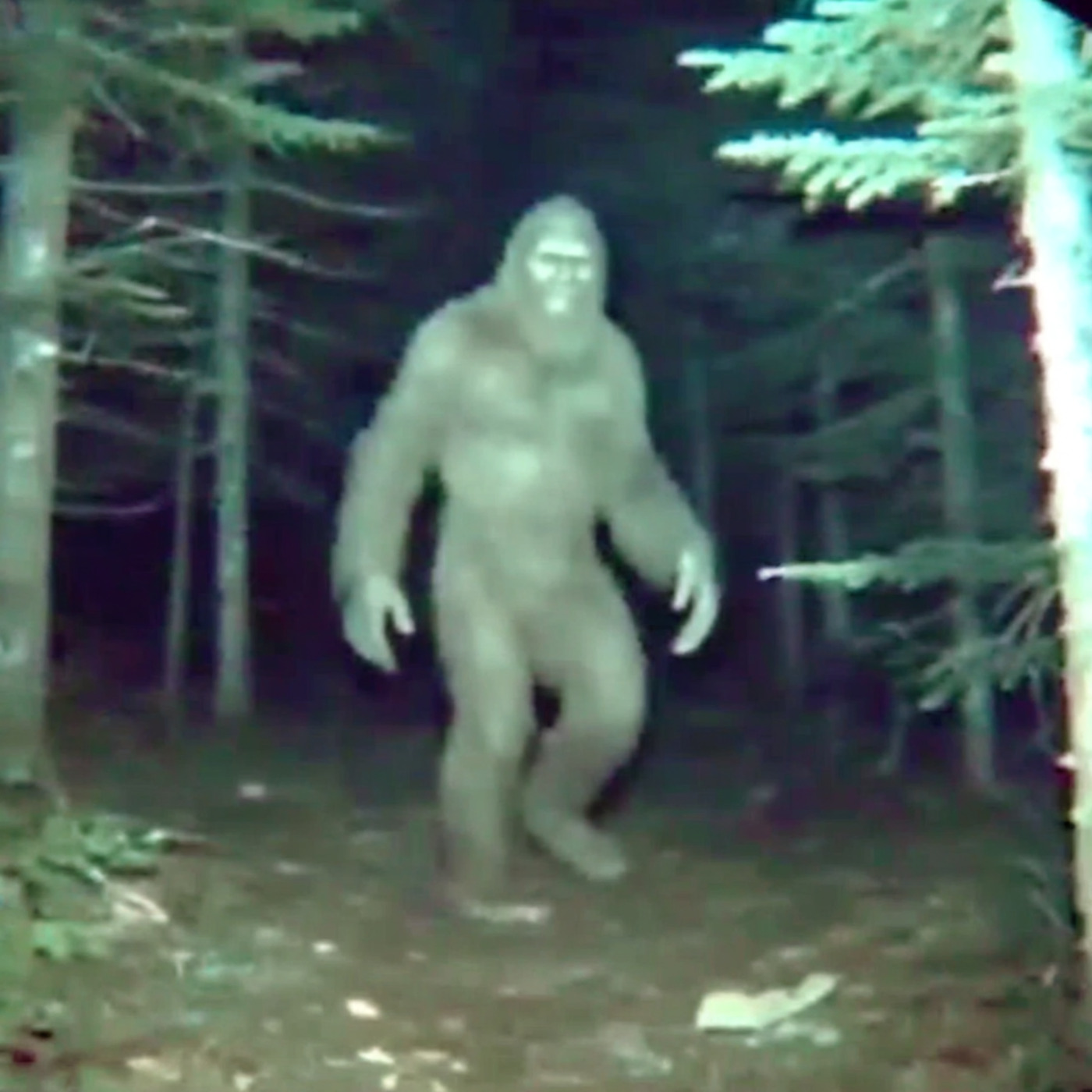 4 TRUE SCARY CREATURE SIGHTING HORROR STORIES