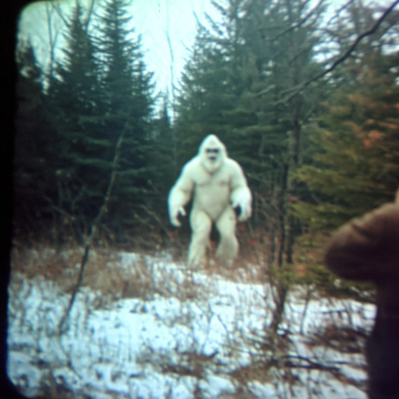 3 TRUE SCARY PARK RANGER HORROR STORIES 3 TRUE SCARY PARK RANGER HORROR STORIES