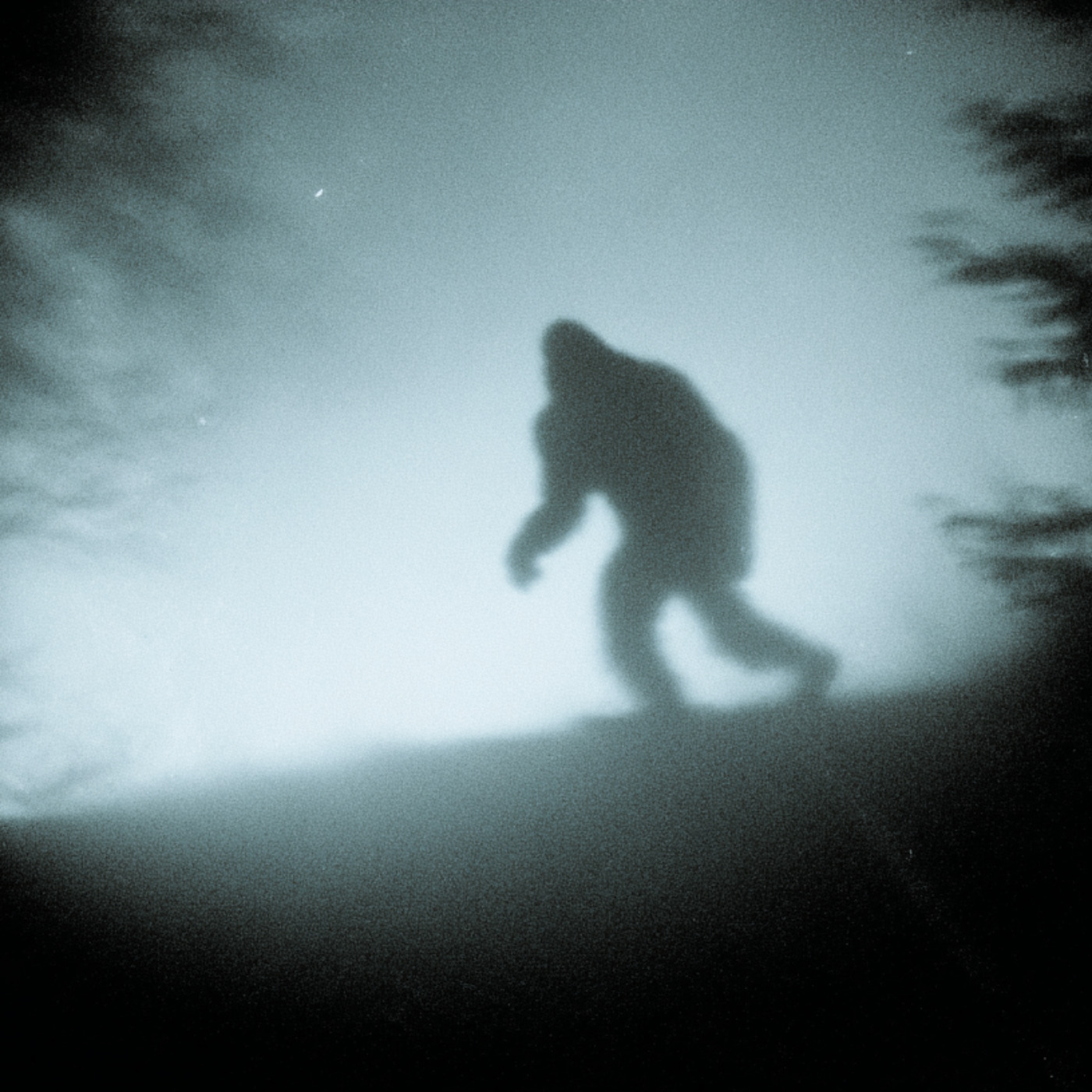 2 TRUE SCARY CRYPTID & FOLKLORE HORROR STORIES episode artwork
