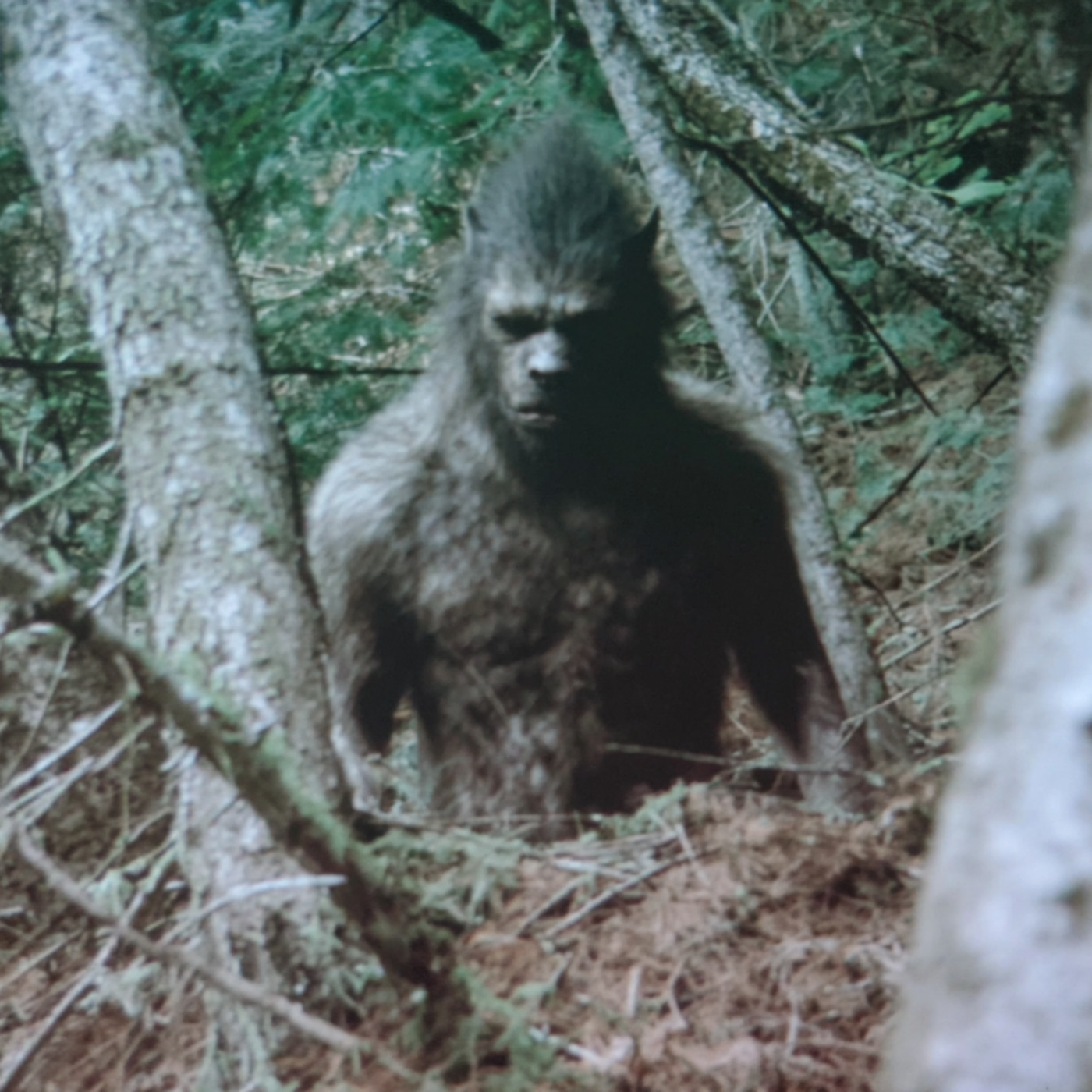 Cryptid Hitman WARNS. I Know Why People Went Missing Near Cayuga Lake Cryptid Hitman WARNS. I Know Why People Went Missing Near Cayuga Lake