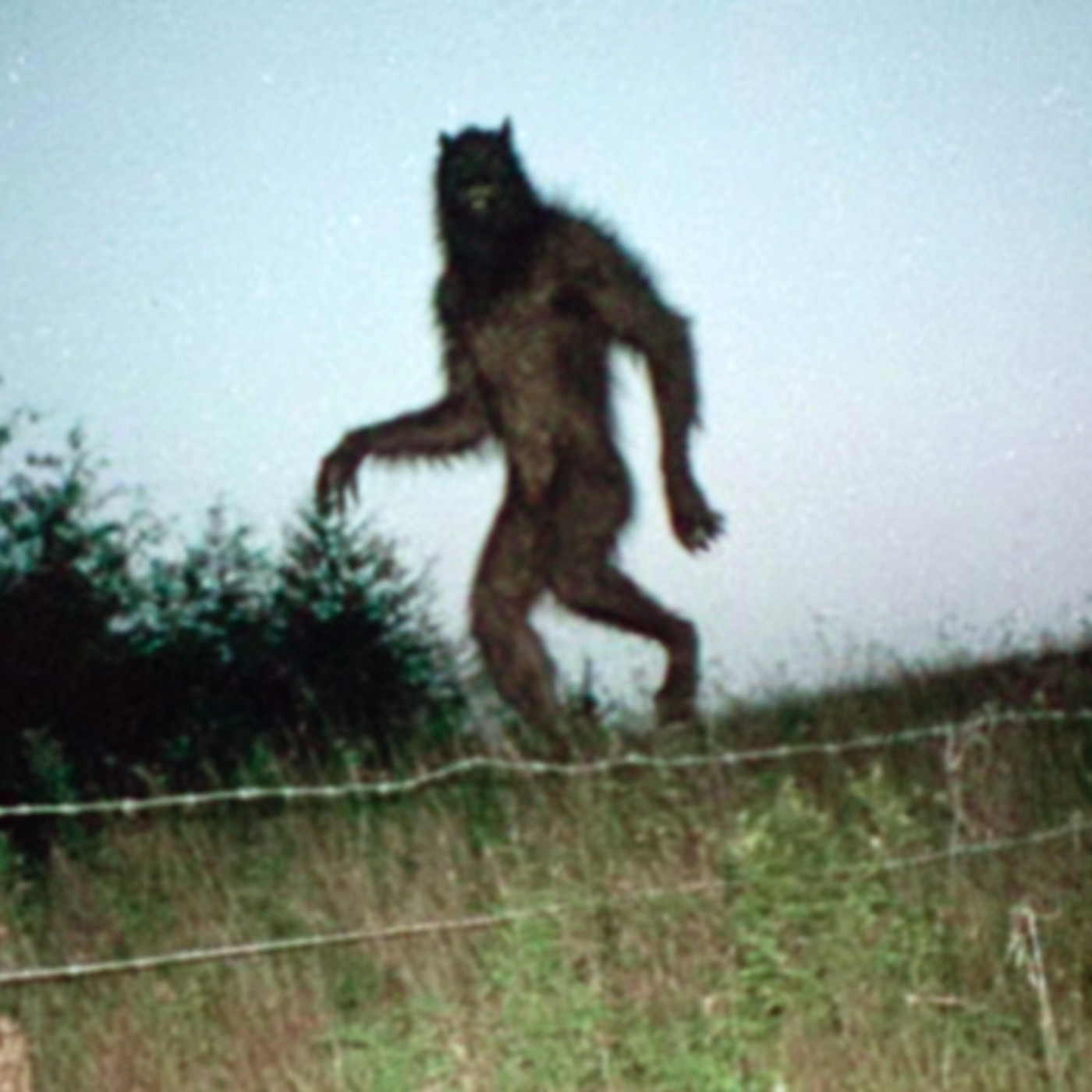 What the HELL is going on in Western North Carolina