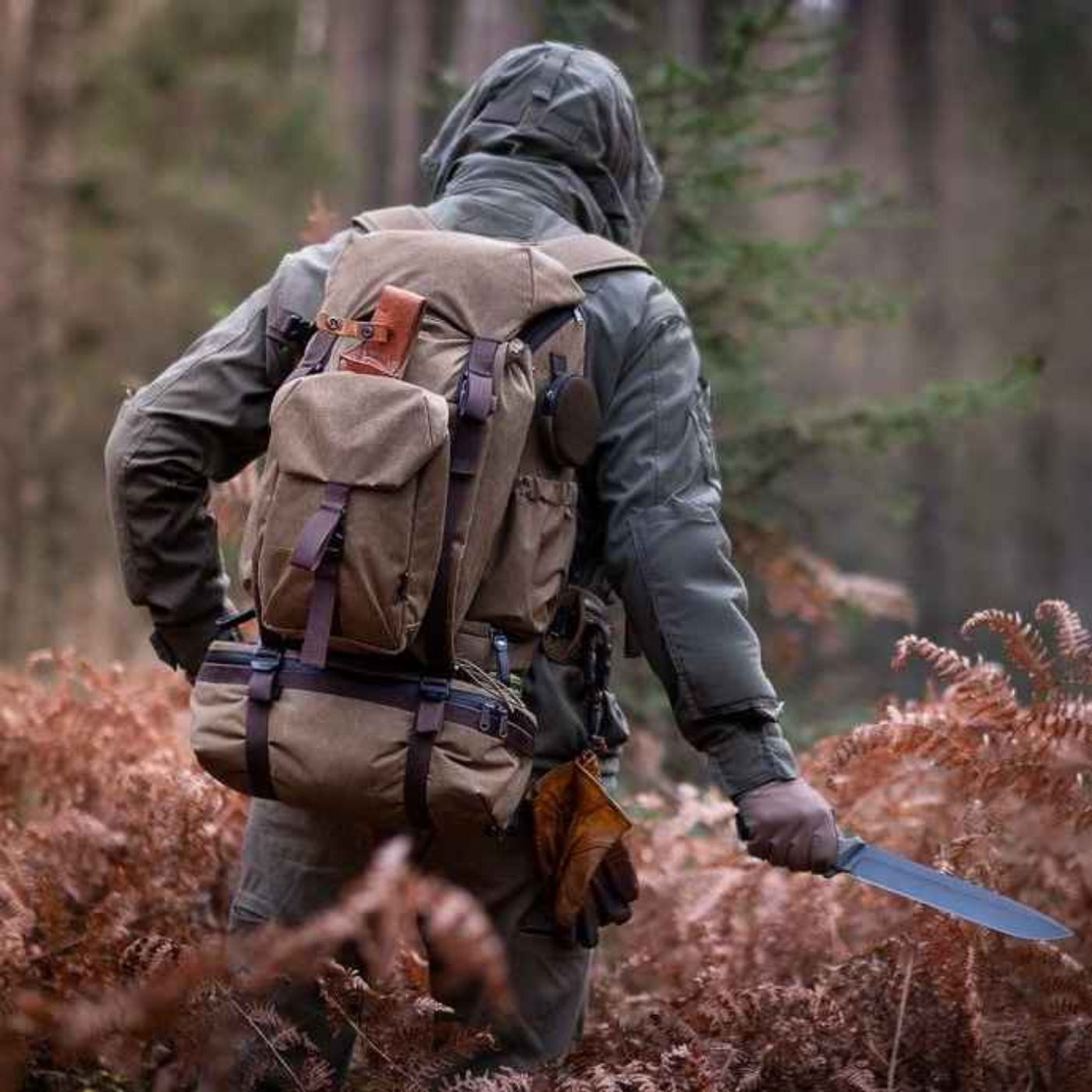 I HUNT Dogman. There Are 6 Rules To Survive The Appalachian Trail... (From An Appalachian Elder) episode artwork