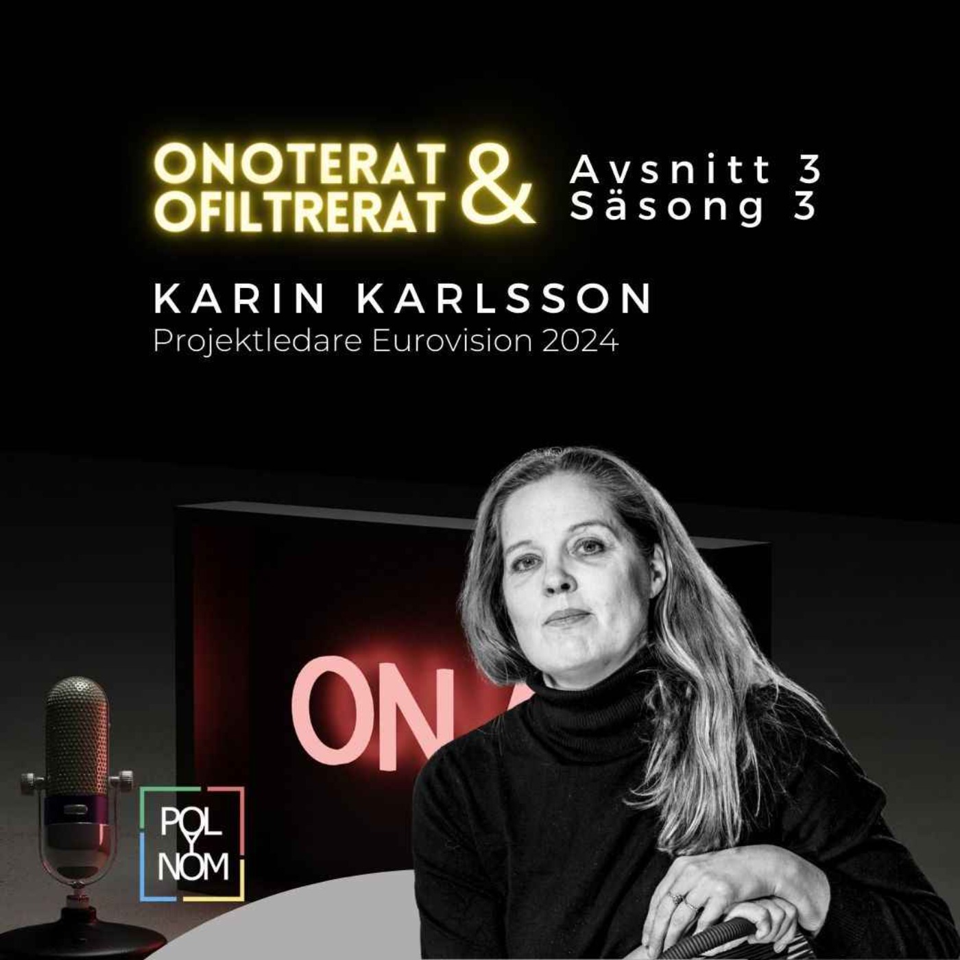 Karin Karlsson - Projektledare Eurovision 2024