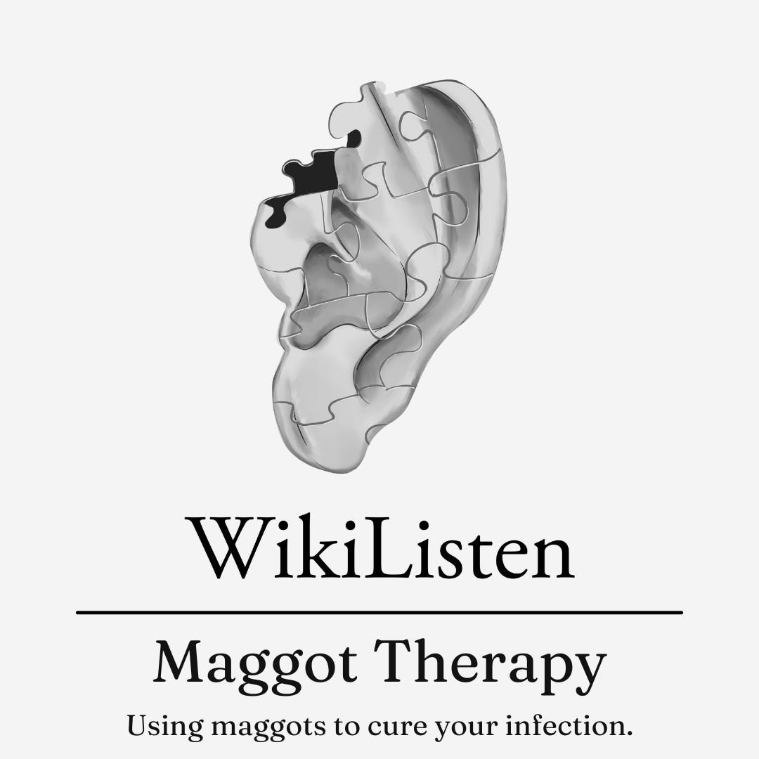 Maggot Therapy