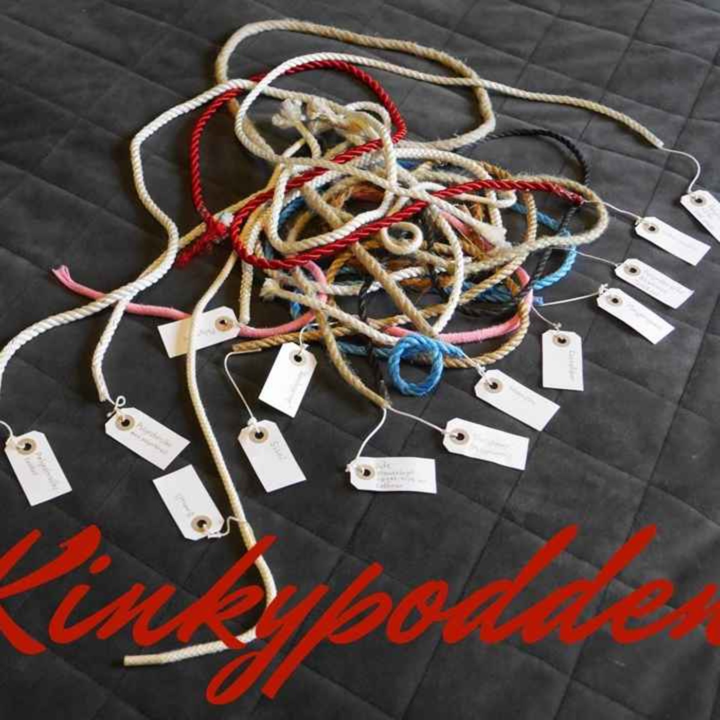 Kinkypodden
