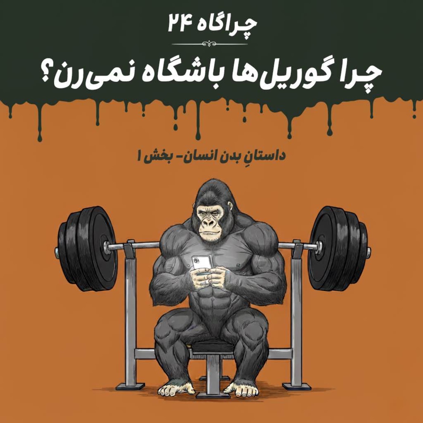 چراگاه ۲۴- چرا گوریل‌ها باشگاه نمی‌رن اما خوش‌اندامن؟