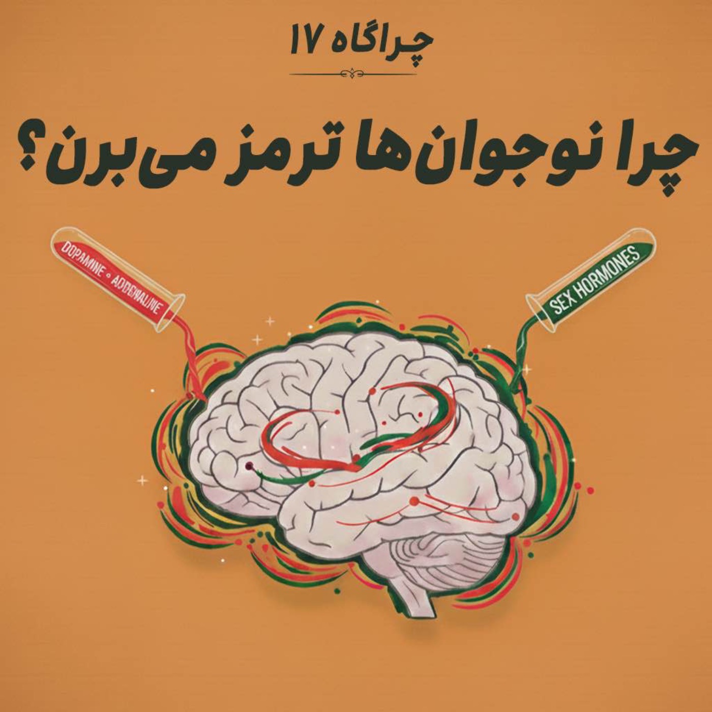 چراگاه ۱۷- چرا نوجوان‌ها ترمز می‌بُرن؟