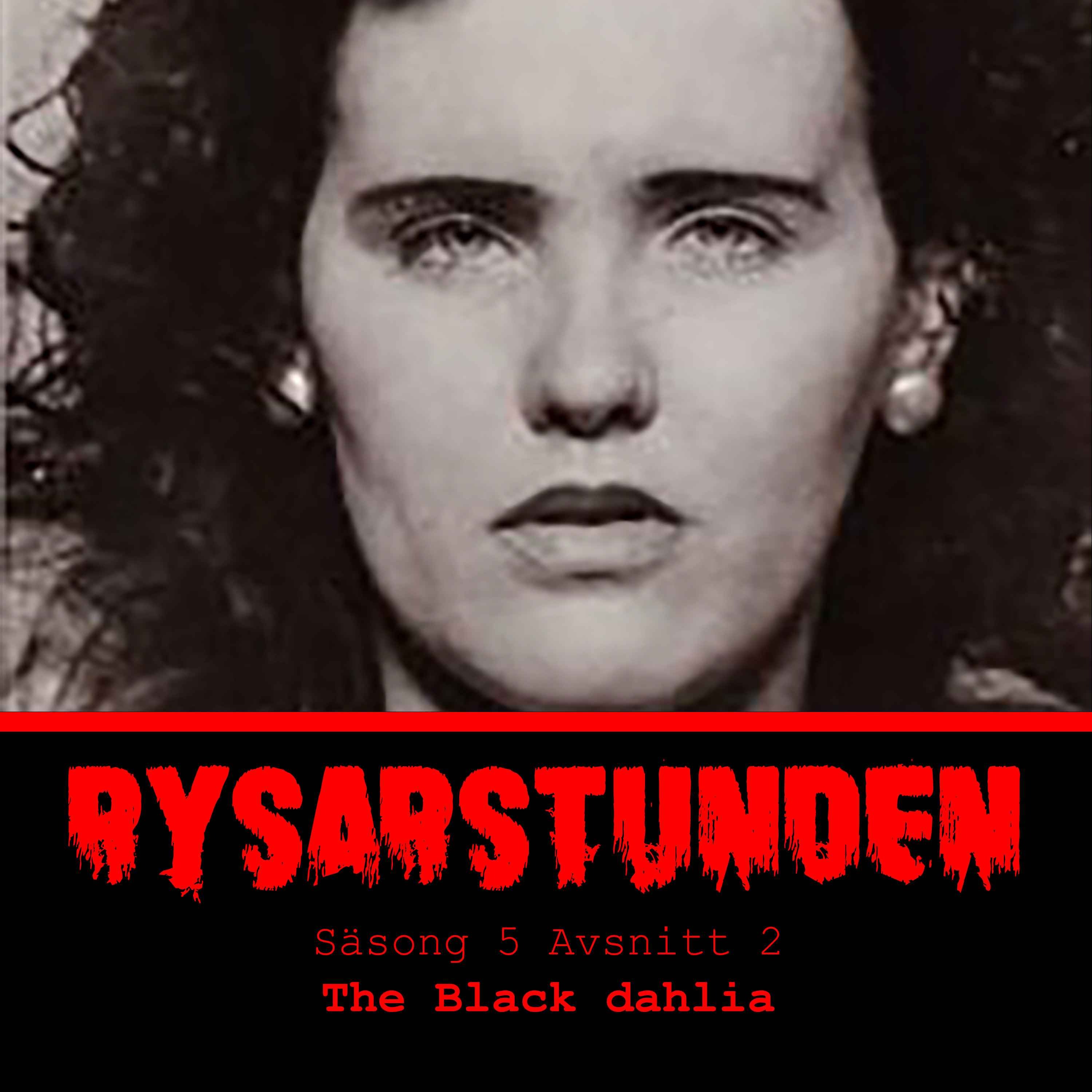 cover art for The Black Dahlia