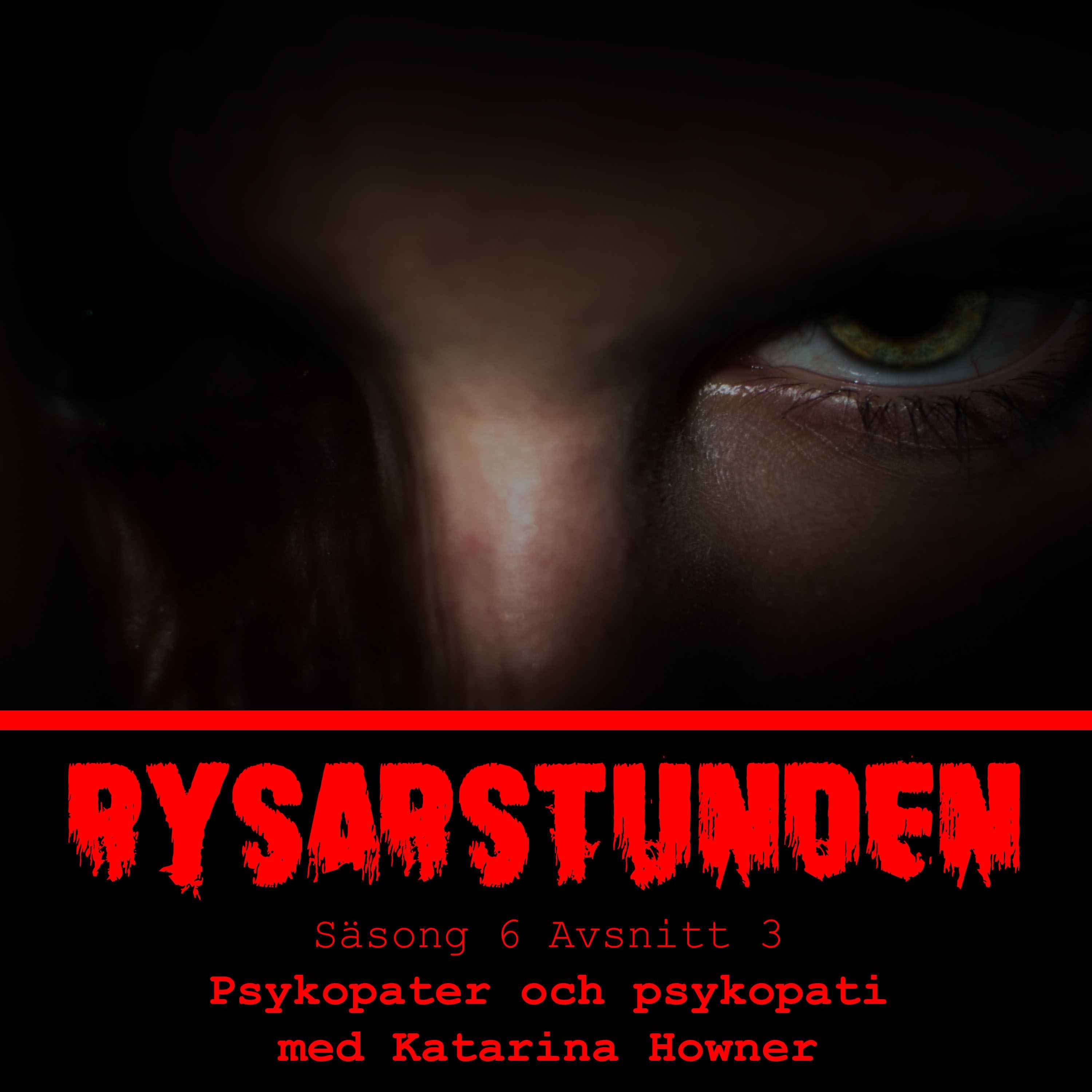 cover art for Psykopater och psykopati med Katarina Howner