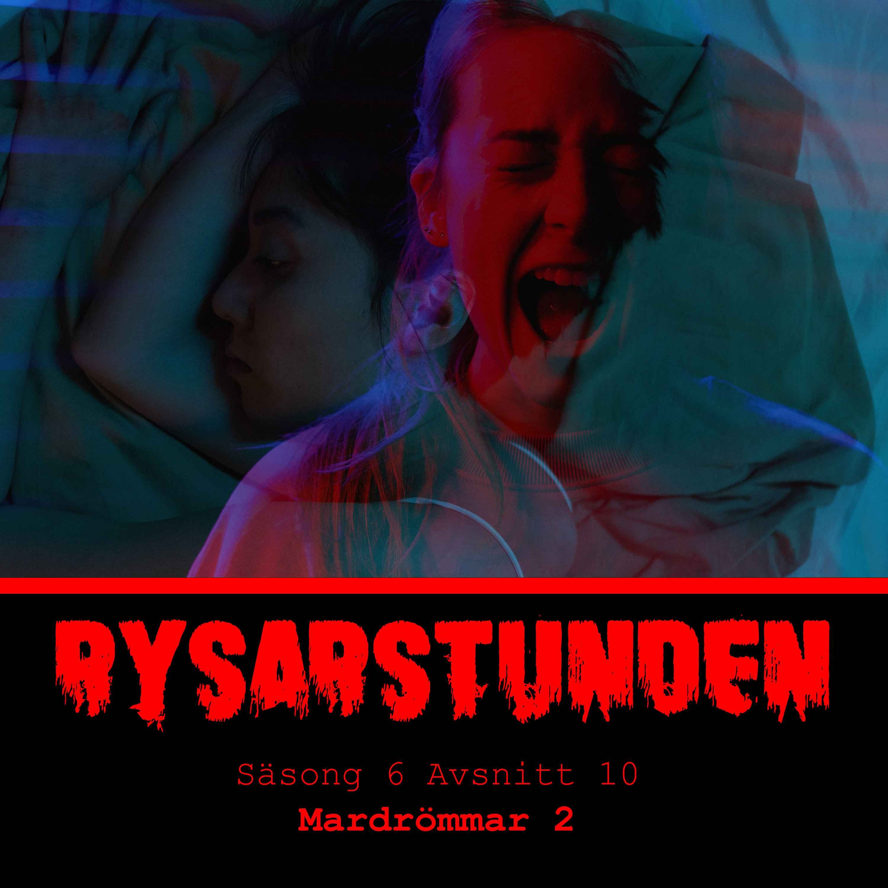 cover art for Mardrömmar 2