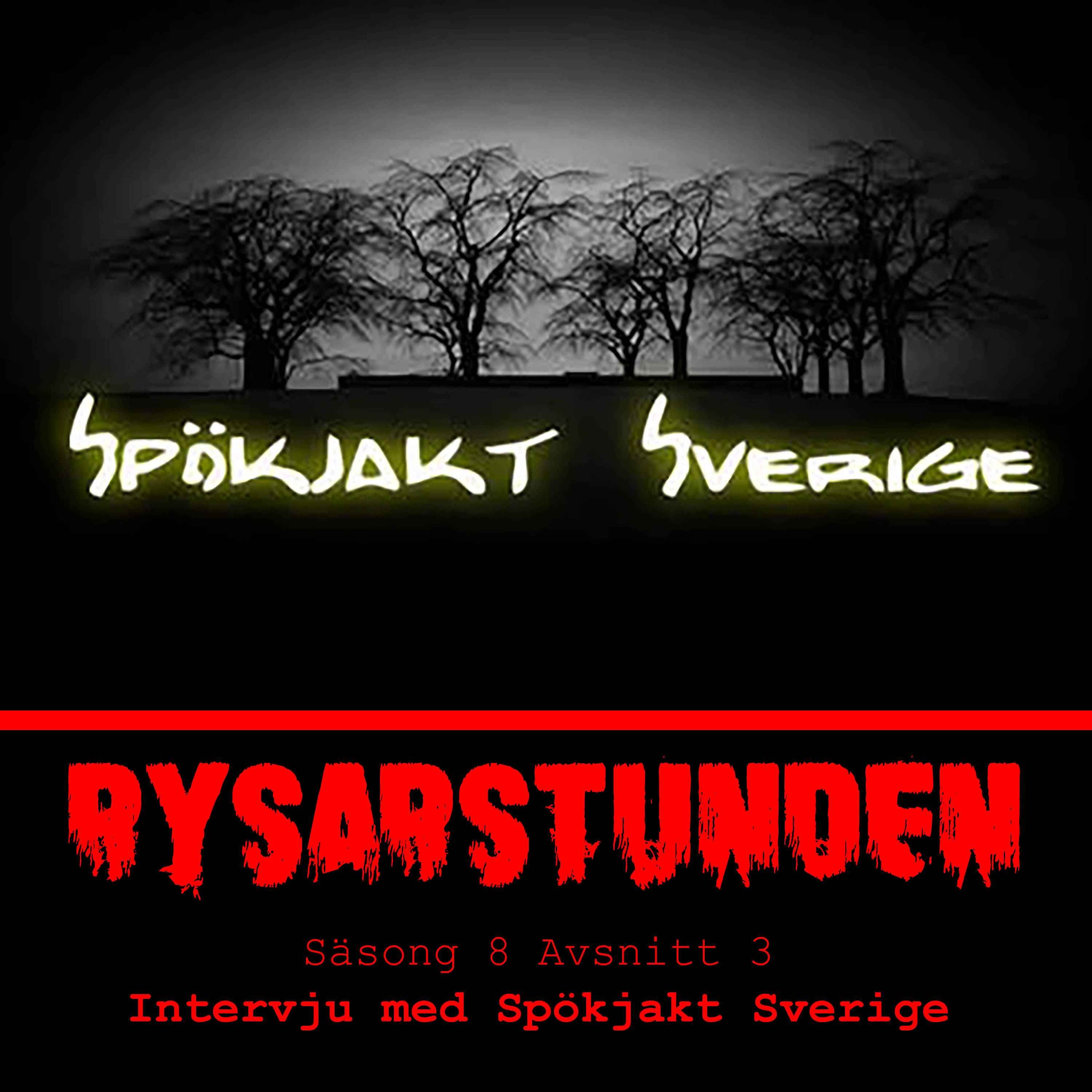 Rysarstunden