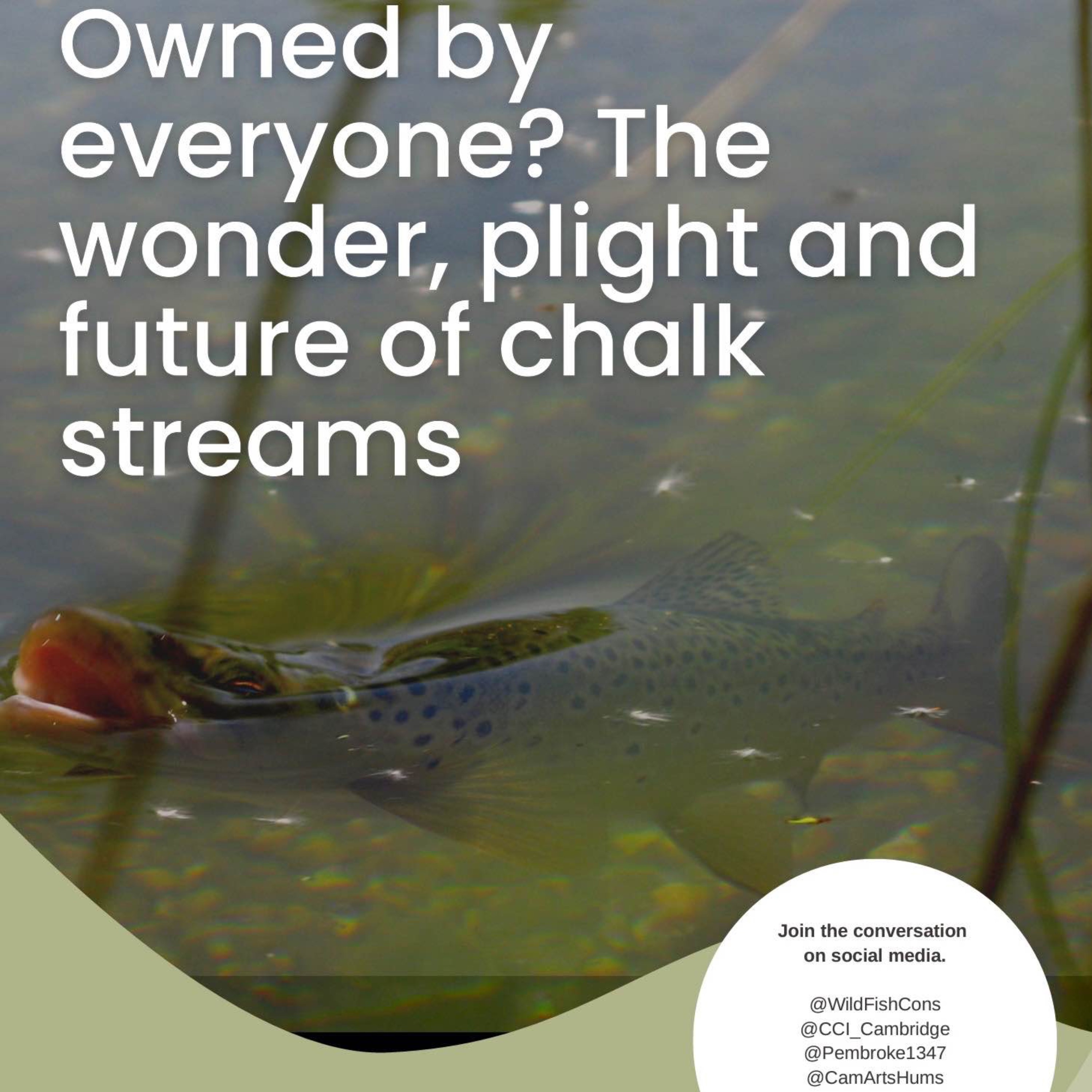 cover art for The crisis facing our chalk streams