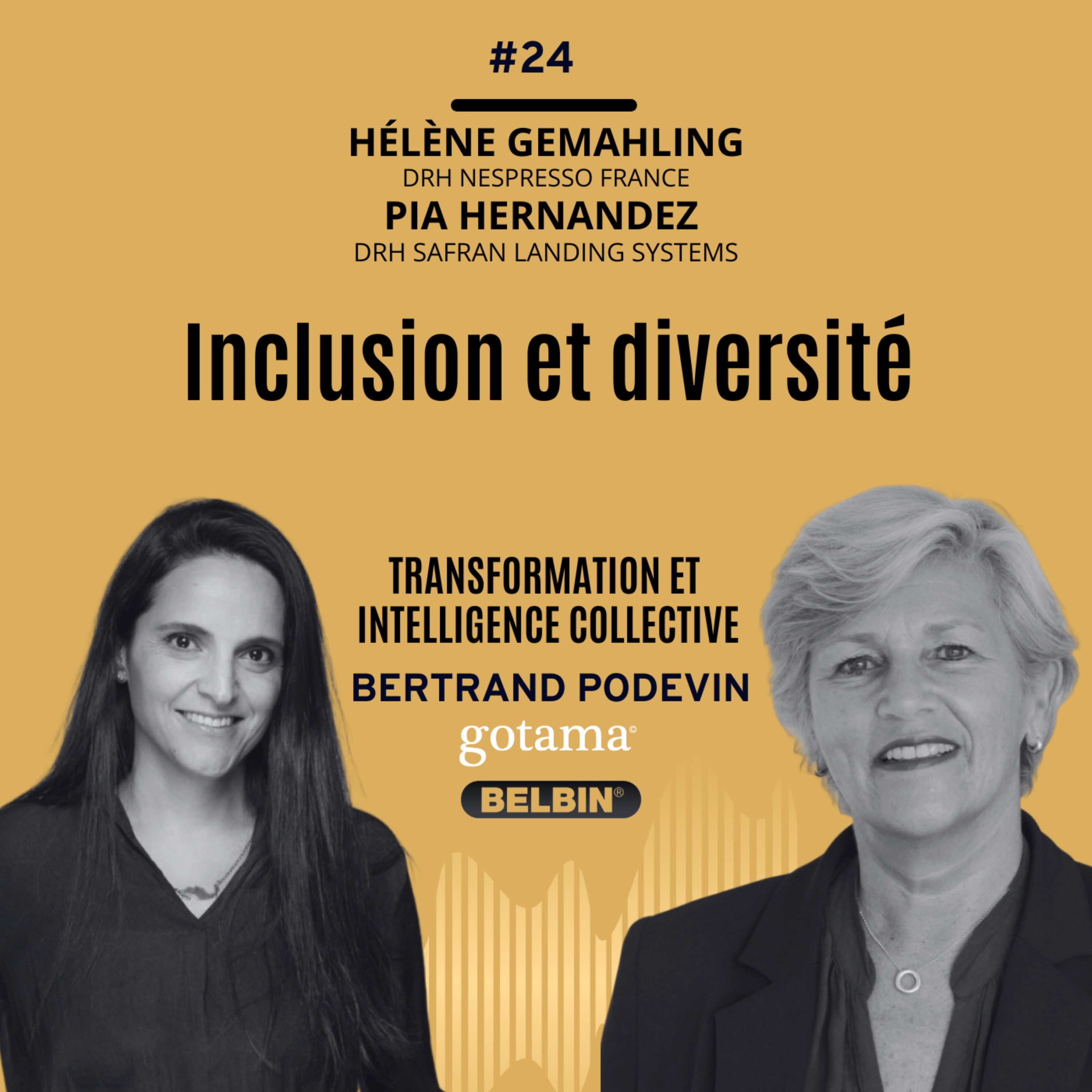 Diversité et Inclusion dans les entreprises episode artwork