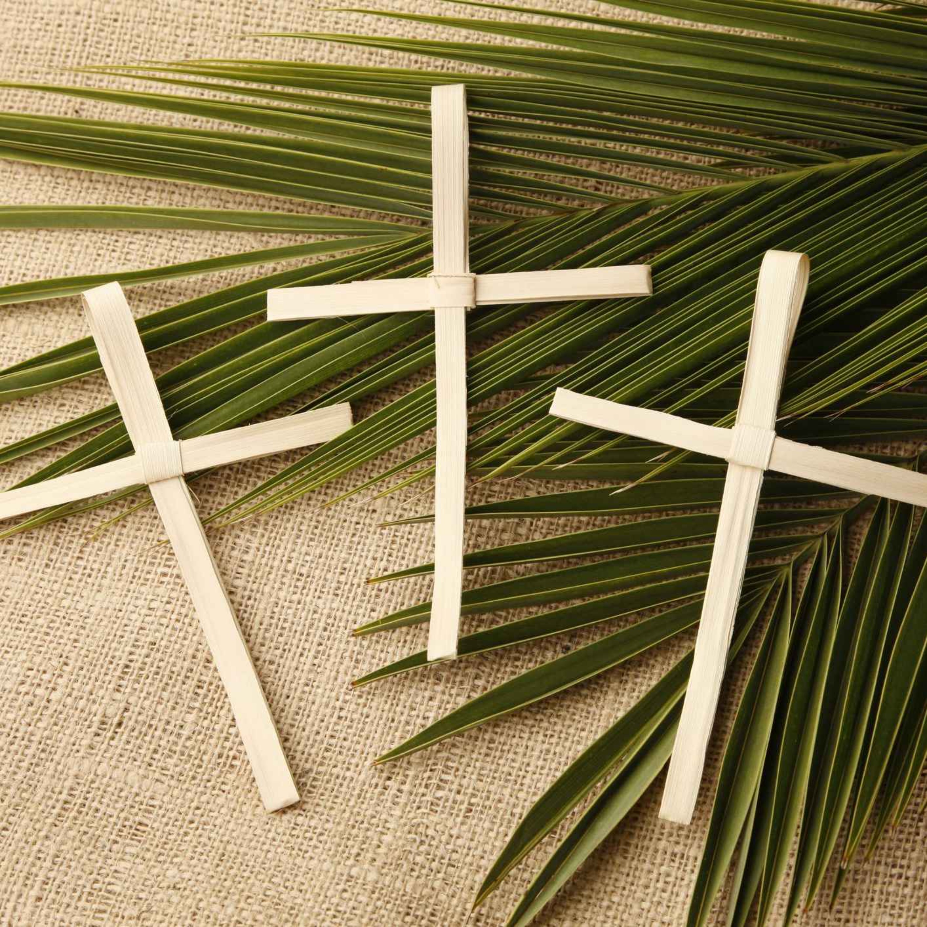 Matthew 21:1-17 ~ Edwin Tutty ~ 02/04/23 ~ Palm Sunday episode artwork