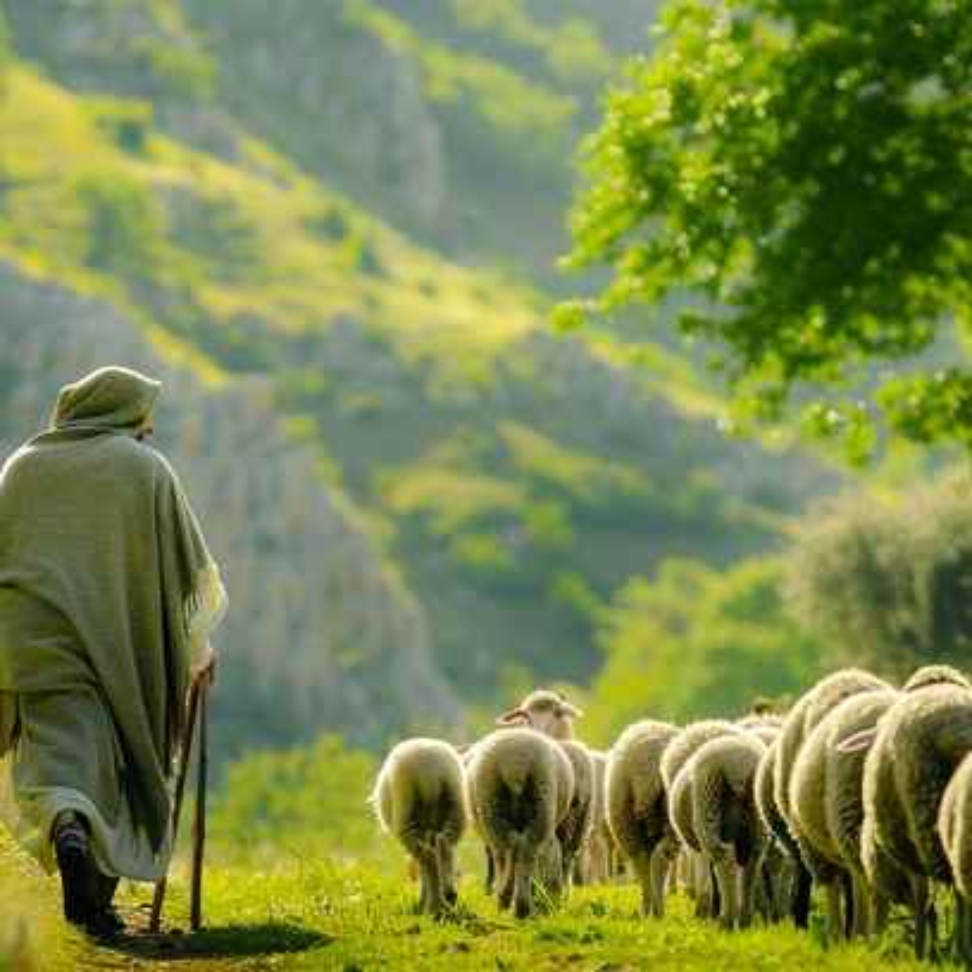 Psalm 23:4 ~ Paul ~ 23/08/2026