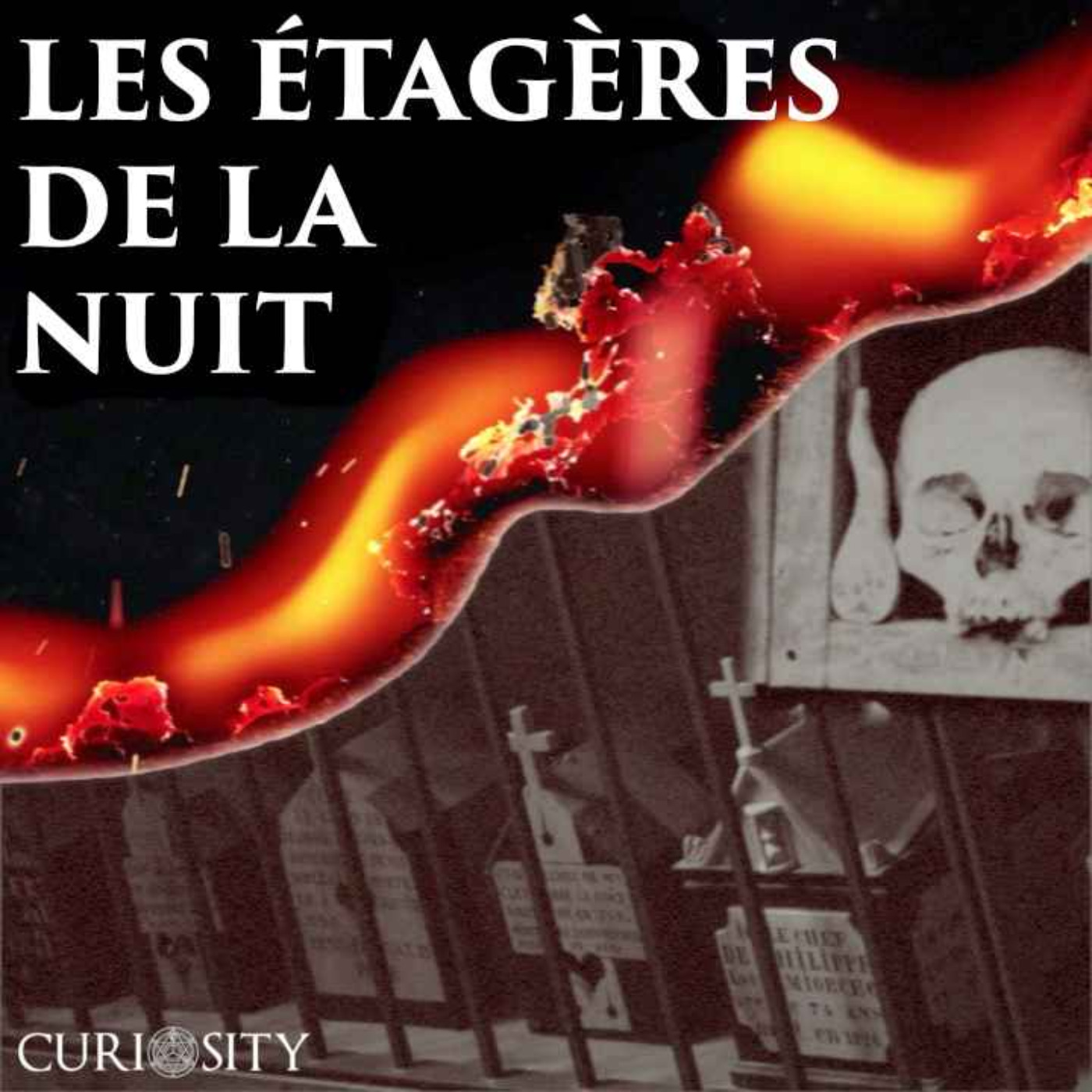 Les Étagères de la Nuit