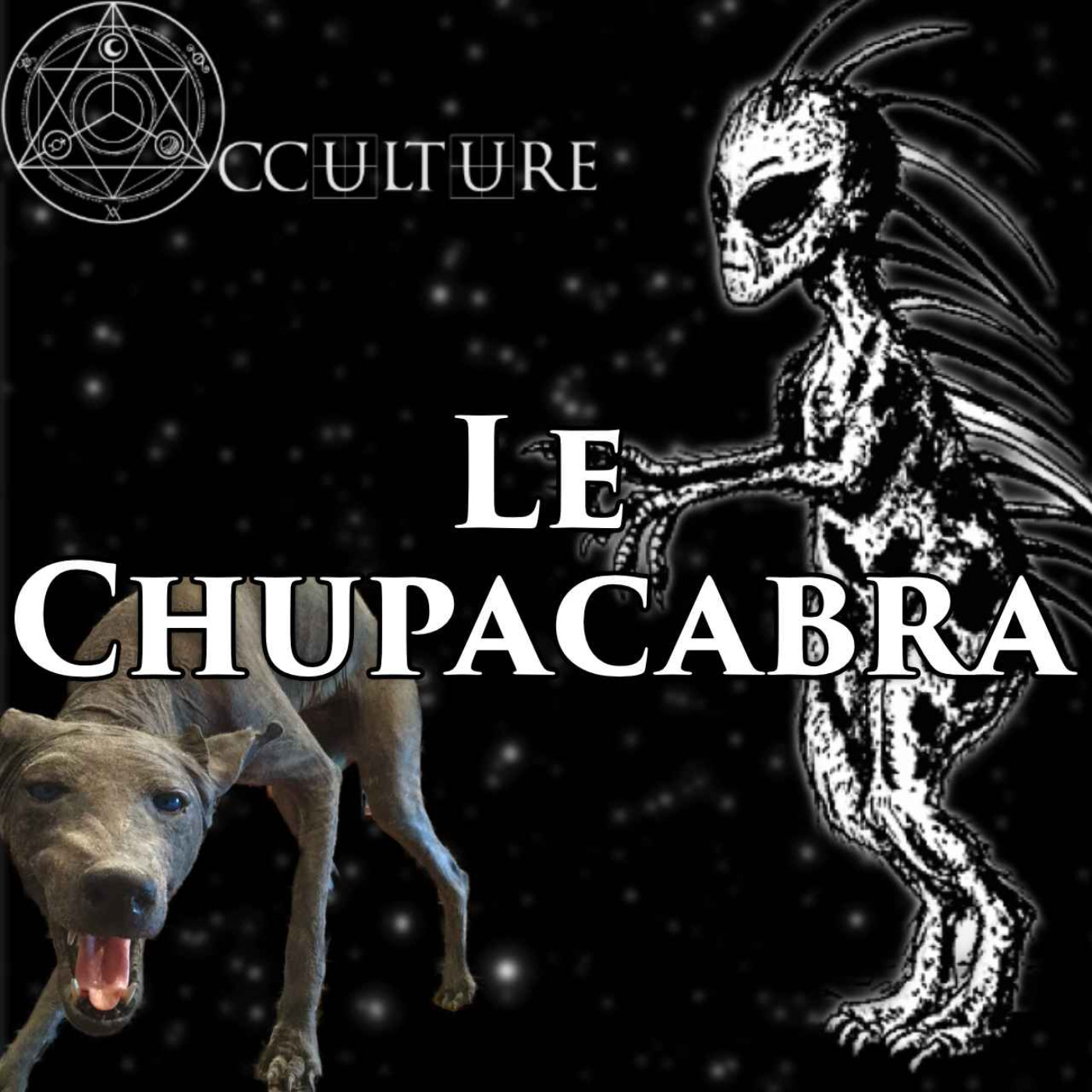Occulture Youtube en Podcast