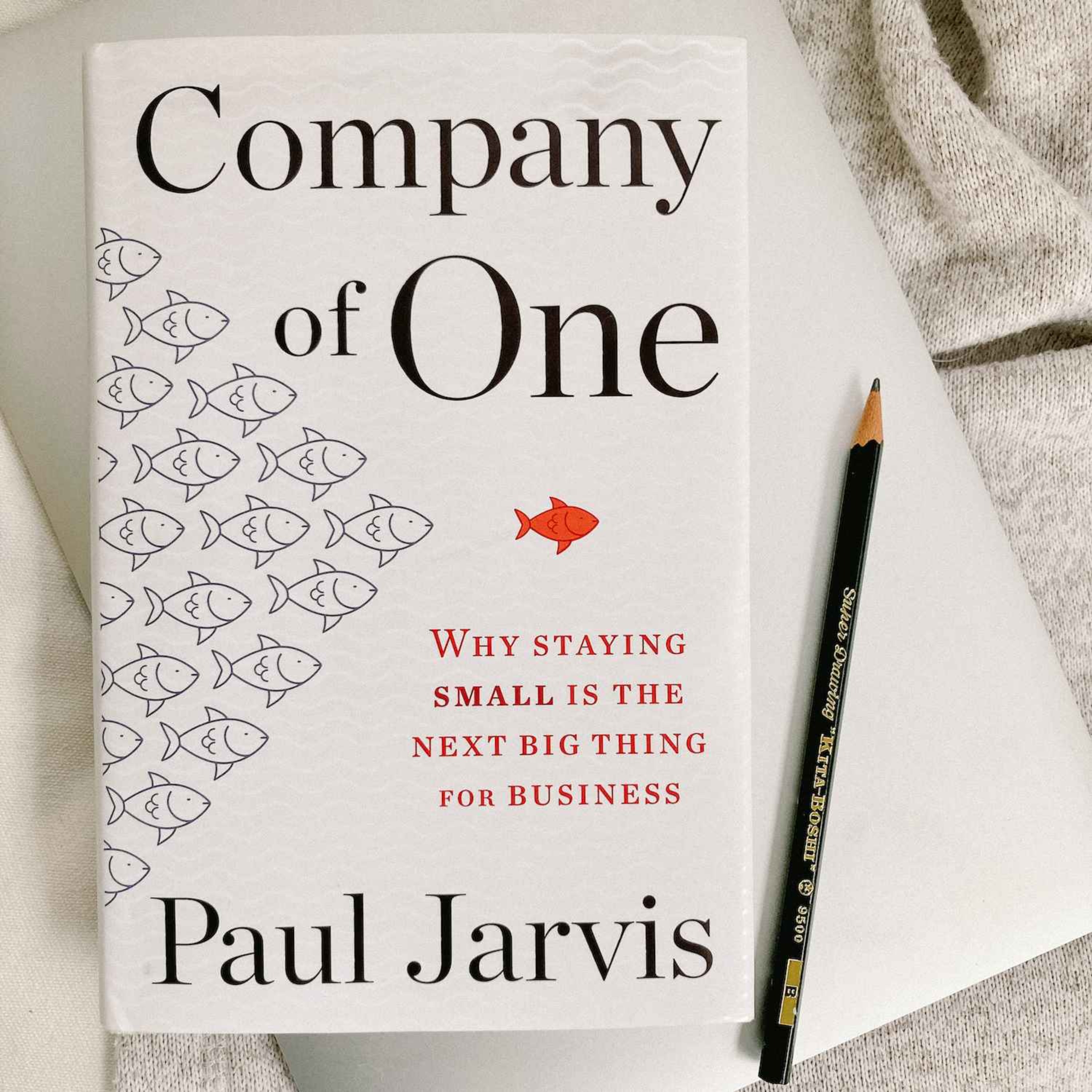 6 Things You Should Know About Being a Company of One episode artwork