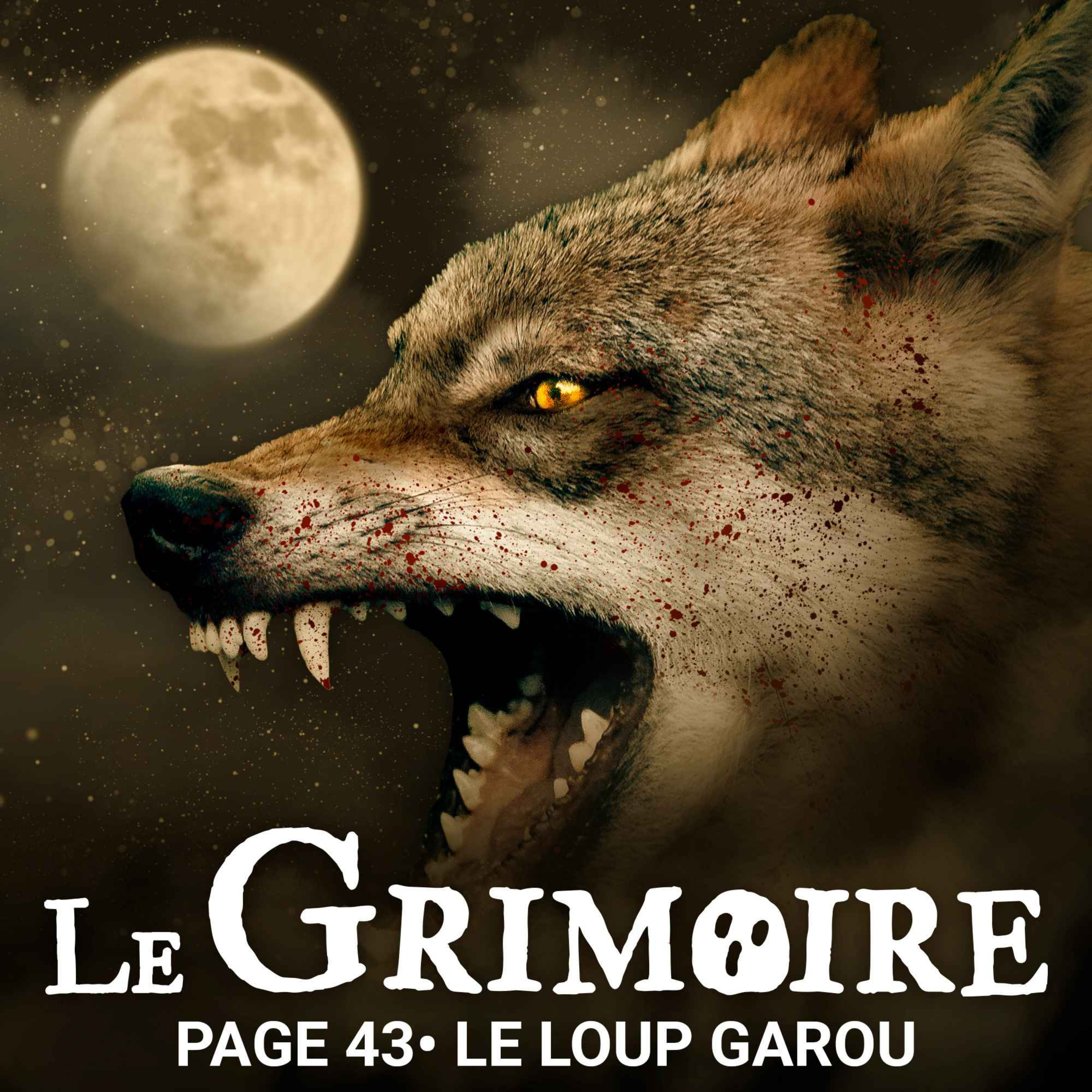 Page 43 - Le Loup Garou