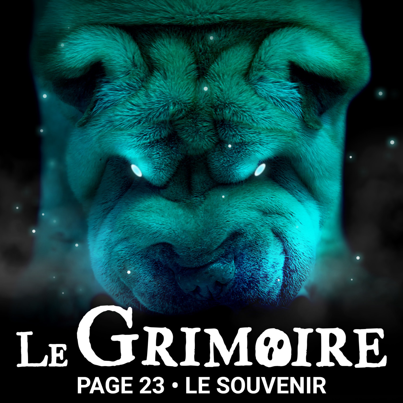 Le Grimoire - Histoires d\'horreur