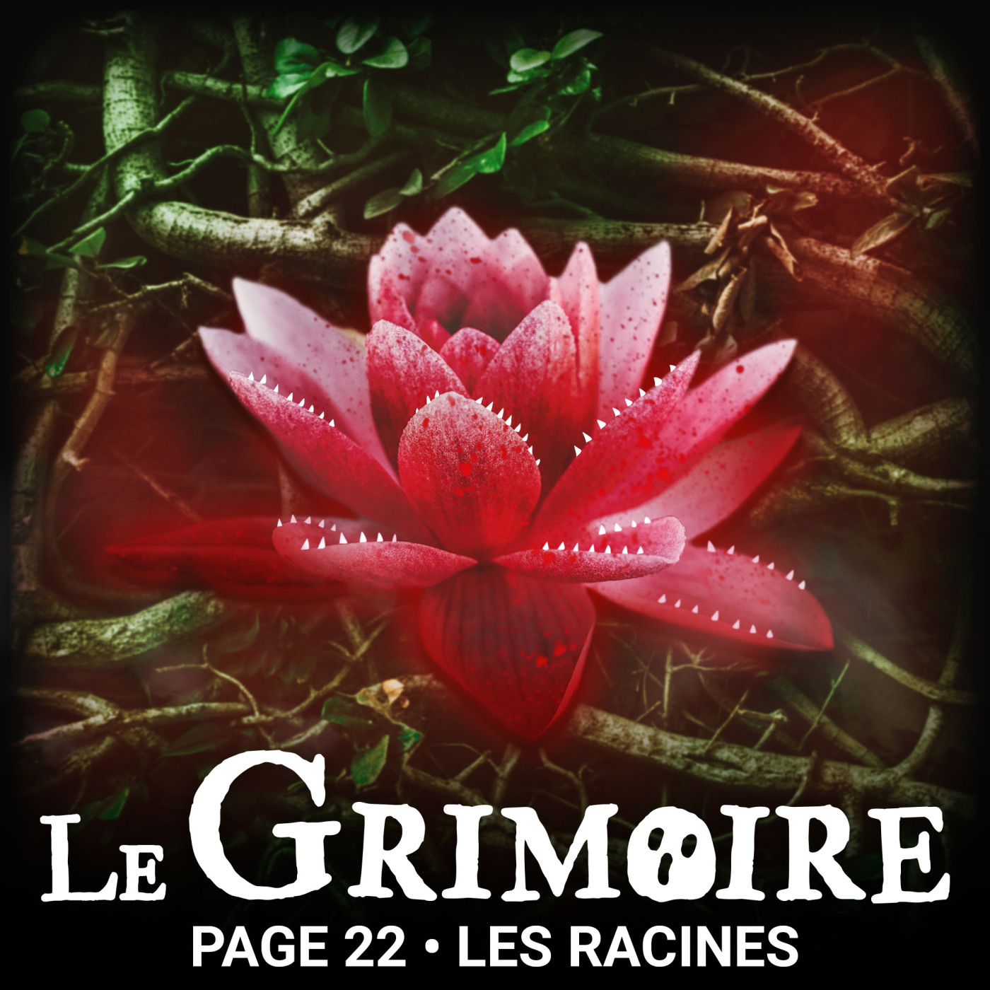 Le Grimoire - Histoires d\'horreur