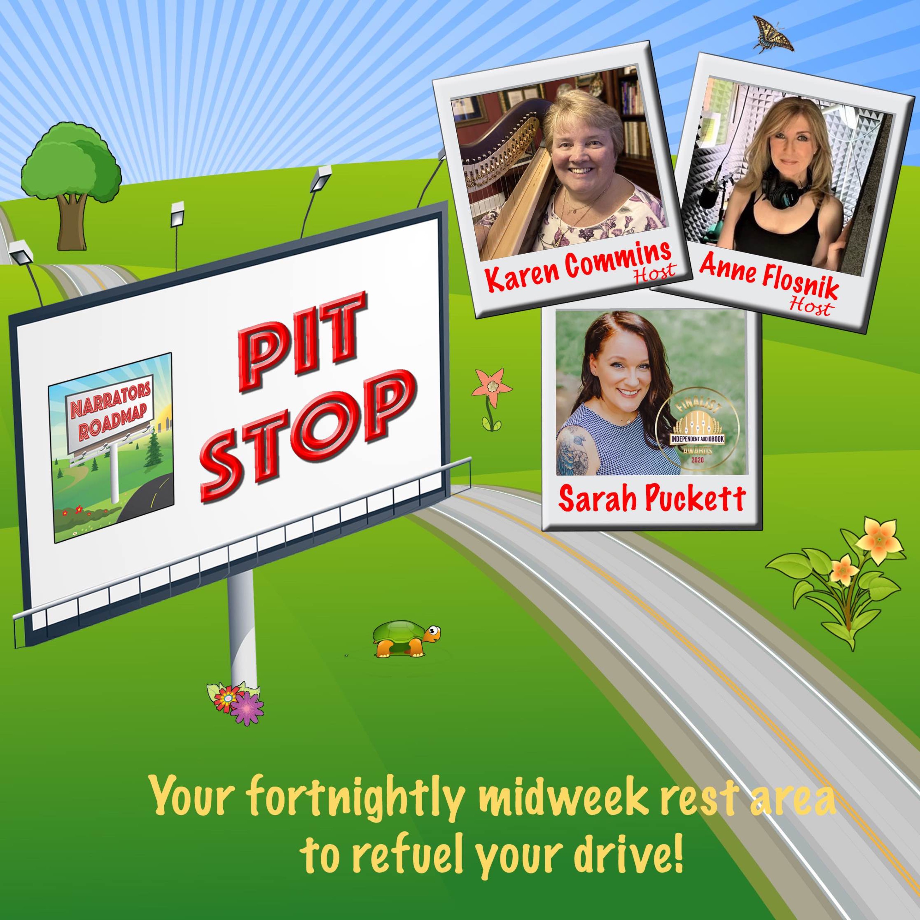 Narrators Roadmap Pit Stop