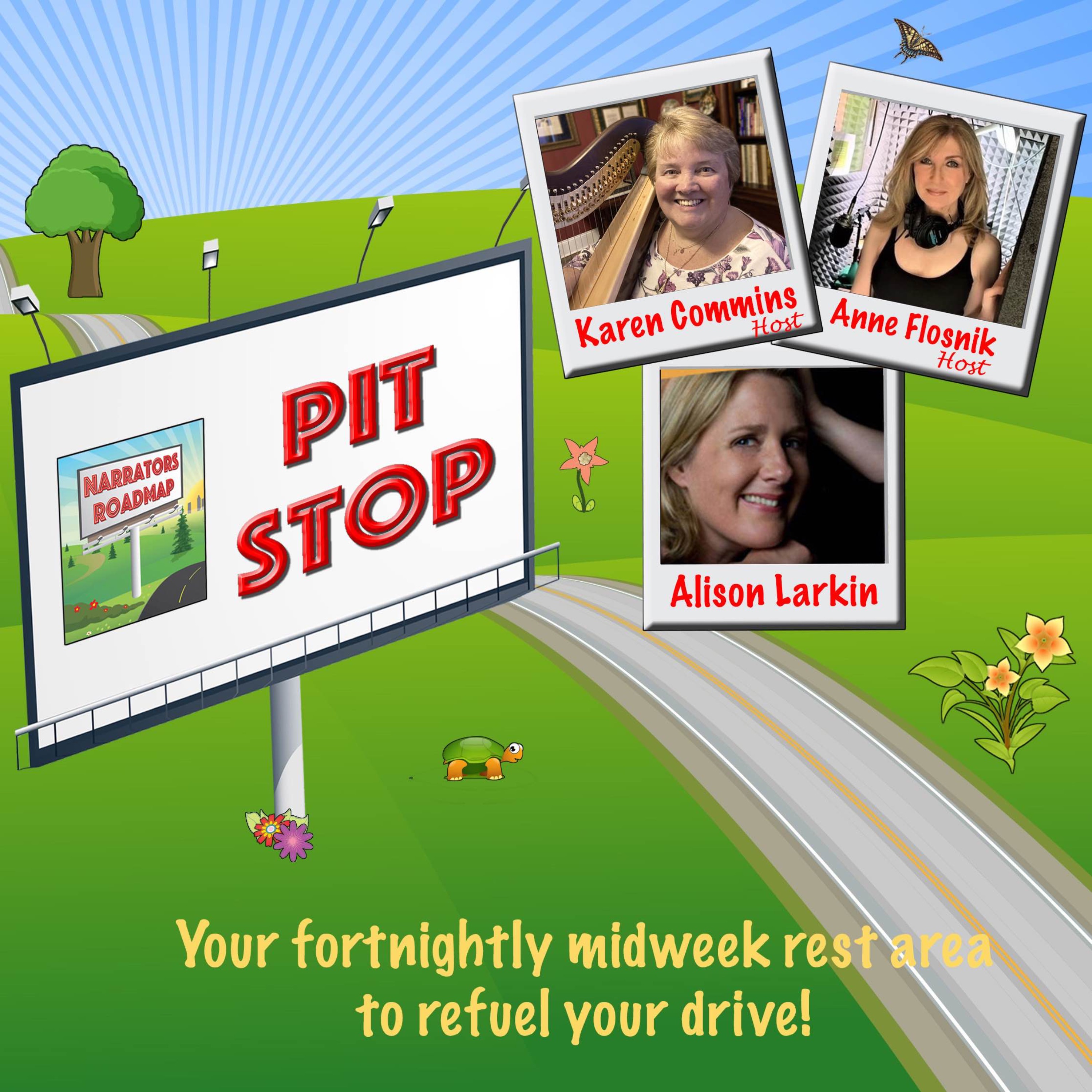 Narrators Roadmap Pit Stop