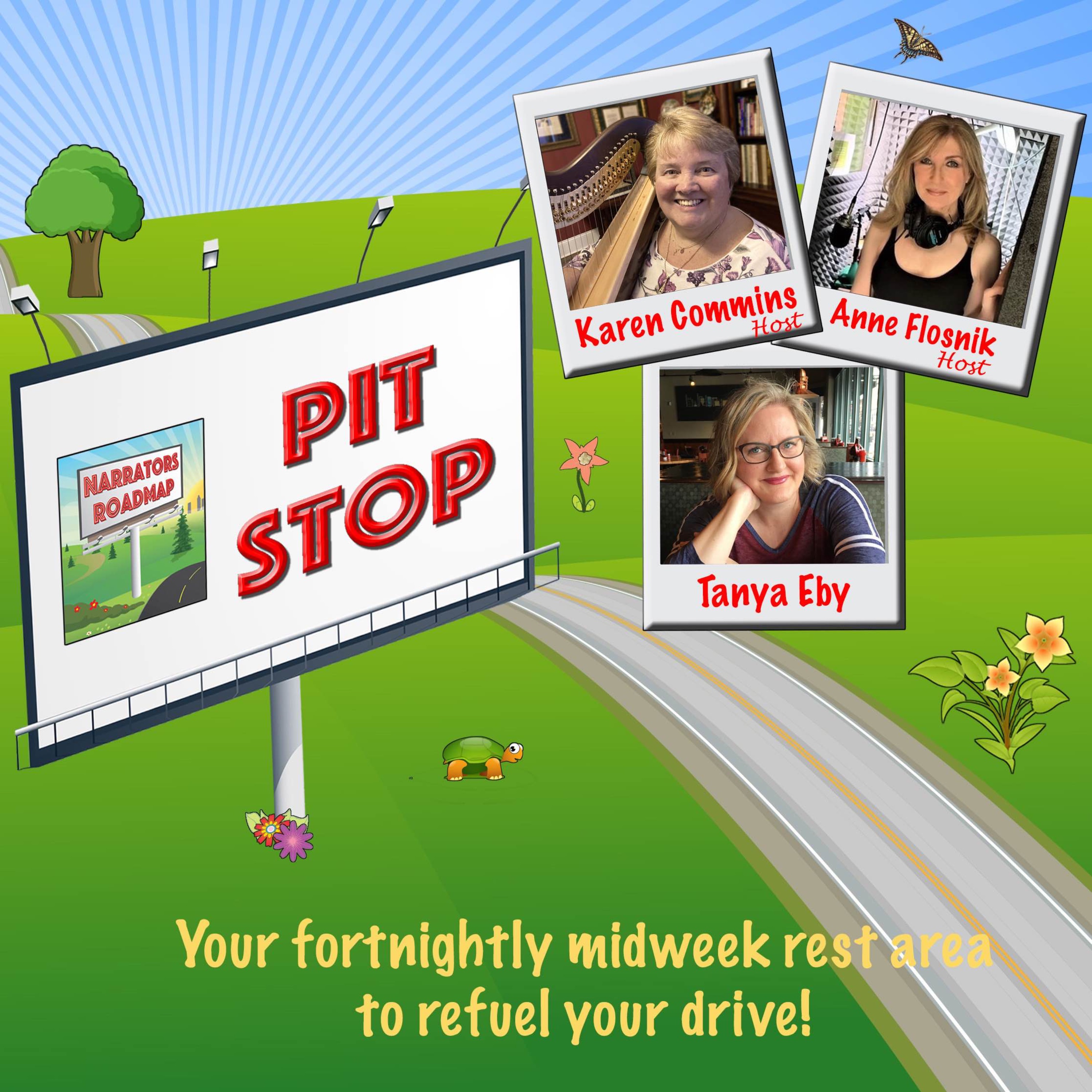 Narrators Roadmap Pit Stop