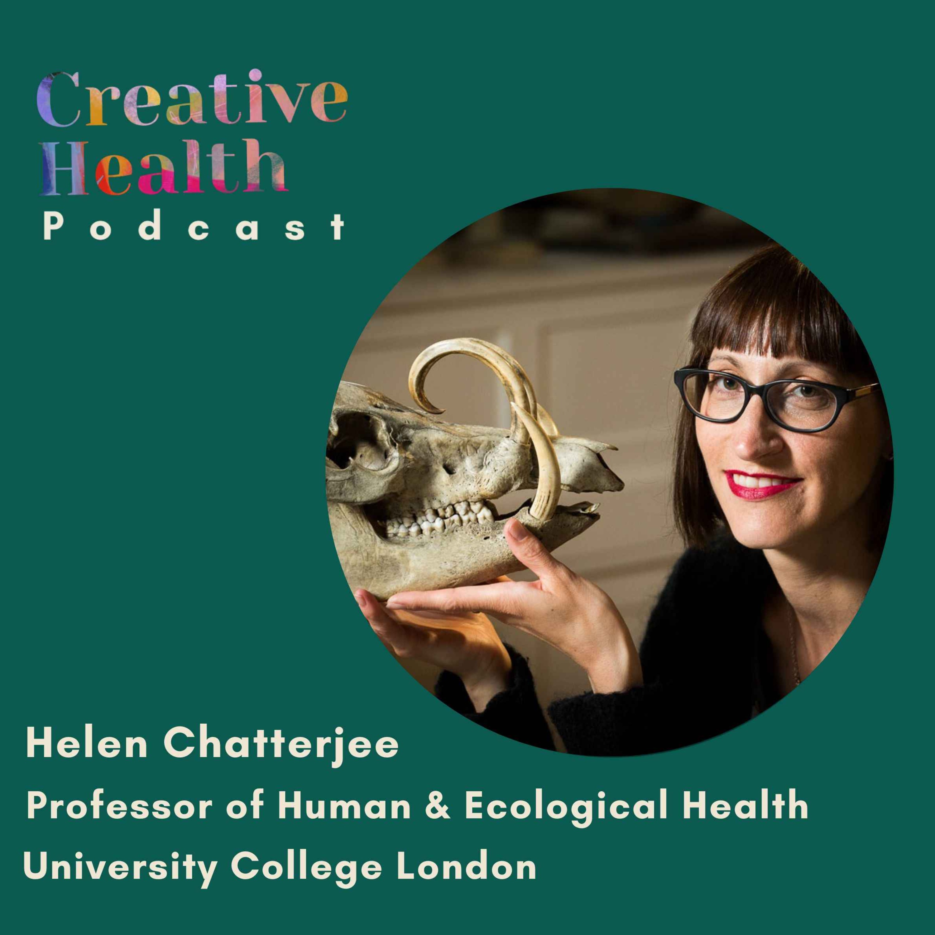 Creative Health Stories